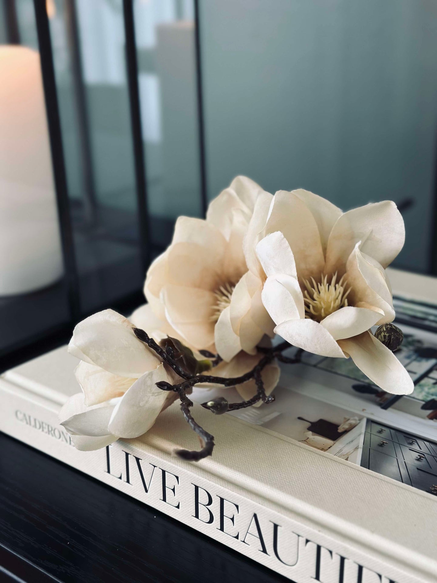 Magnolienstängel