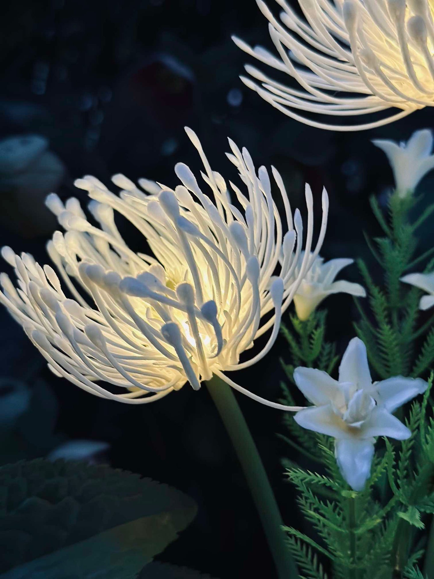 Blume mit Solarzellen - Spider Lili weiß