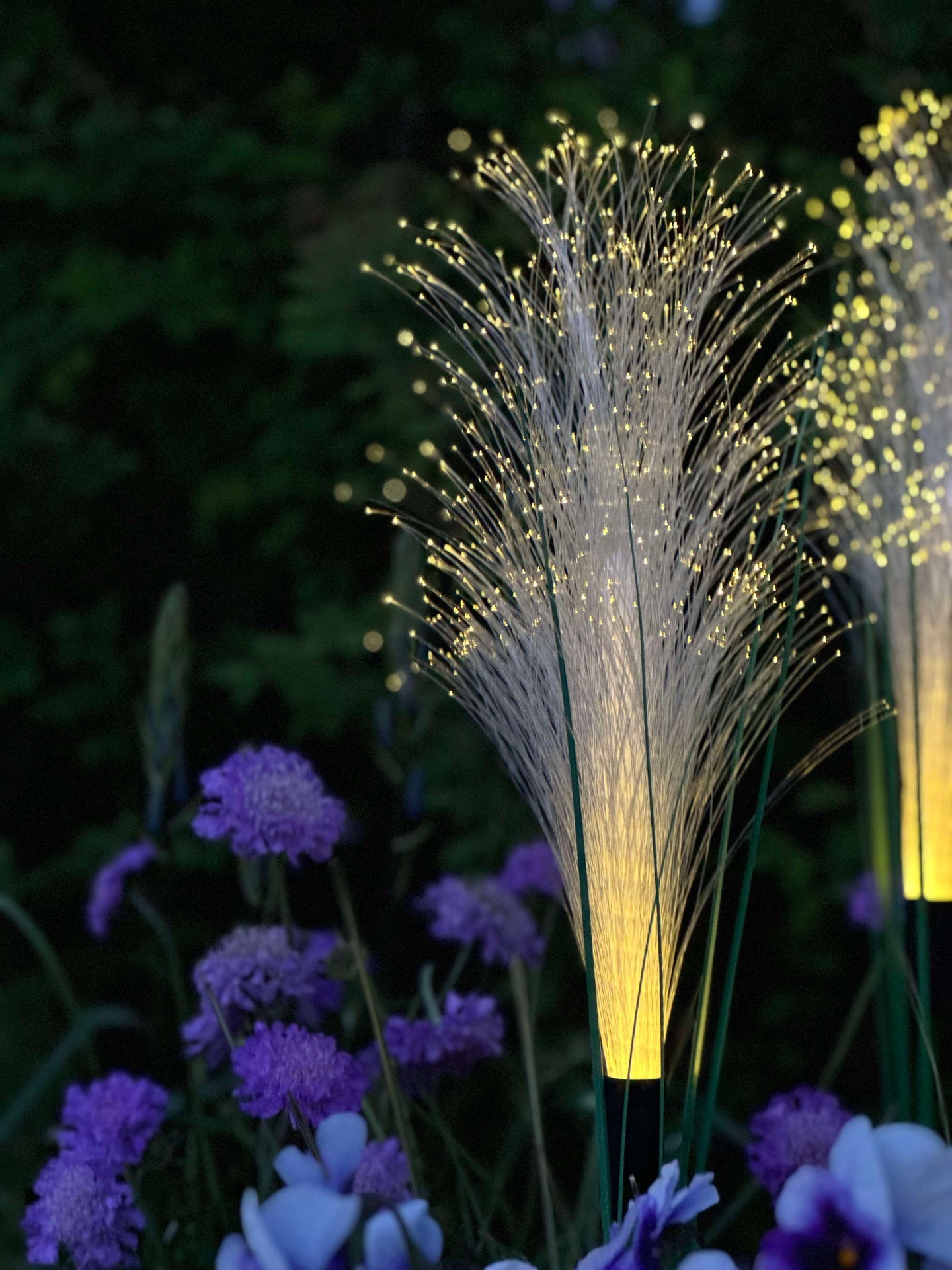 Pampas mit Solar