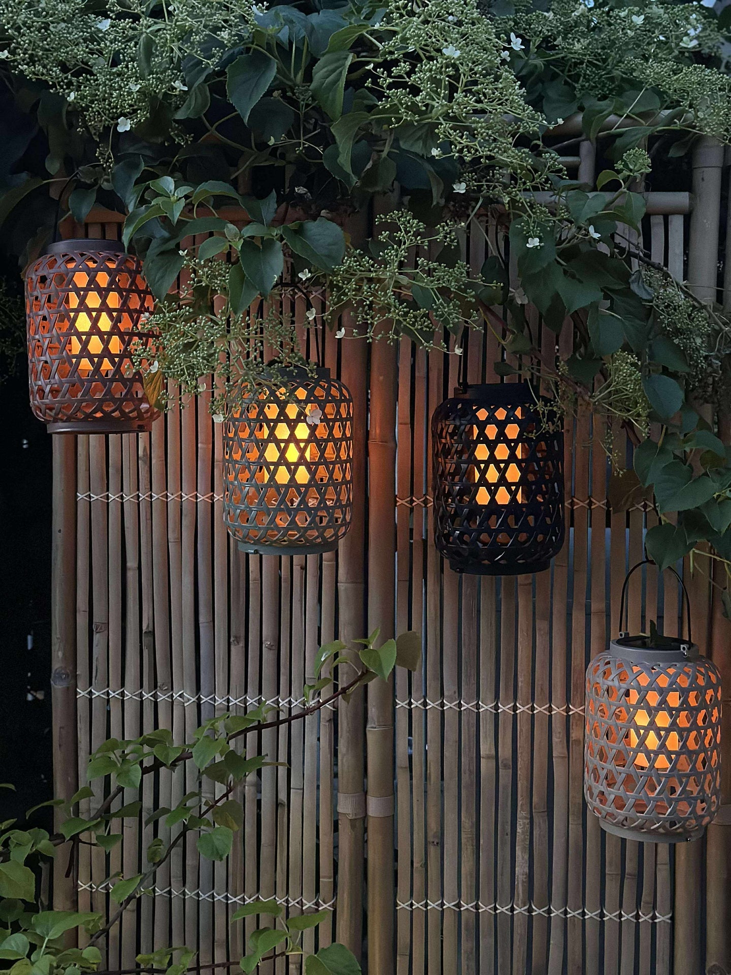 Laterne GINNY - Mehrere Farboptionen