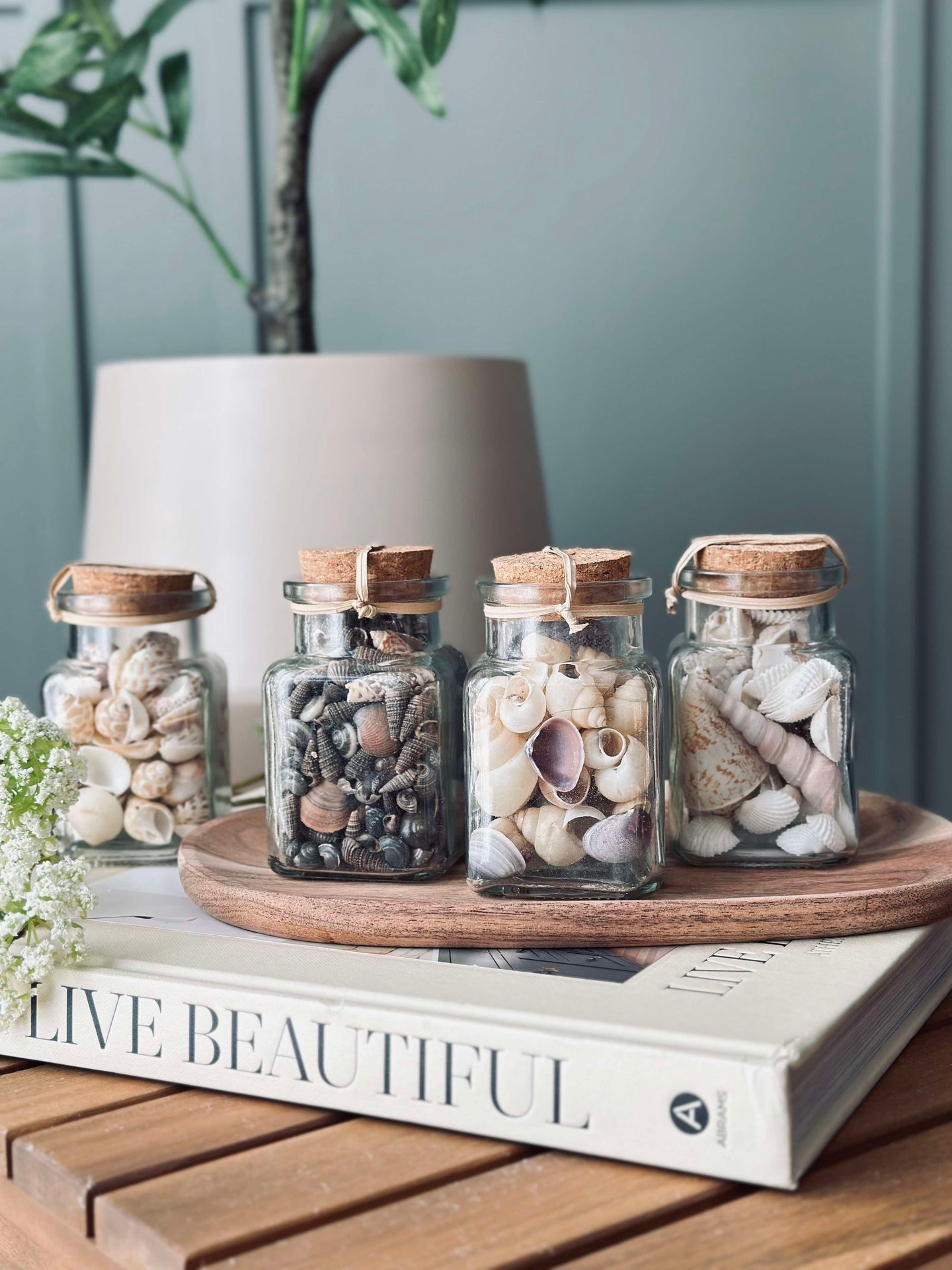 Muscheln aus Glas - Mix