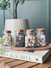 Muscheln aus Glas - Mix