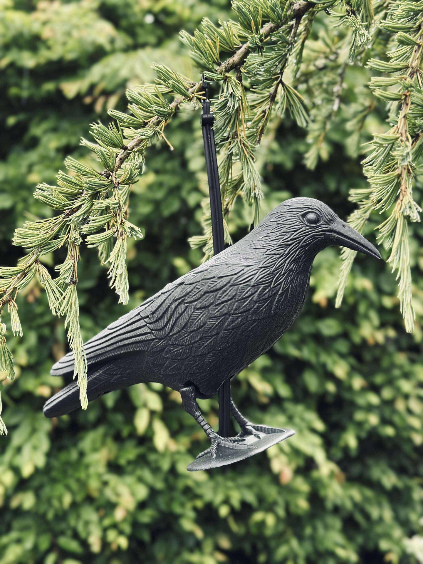 Vogel aus schwarzem Kunststoff
