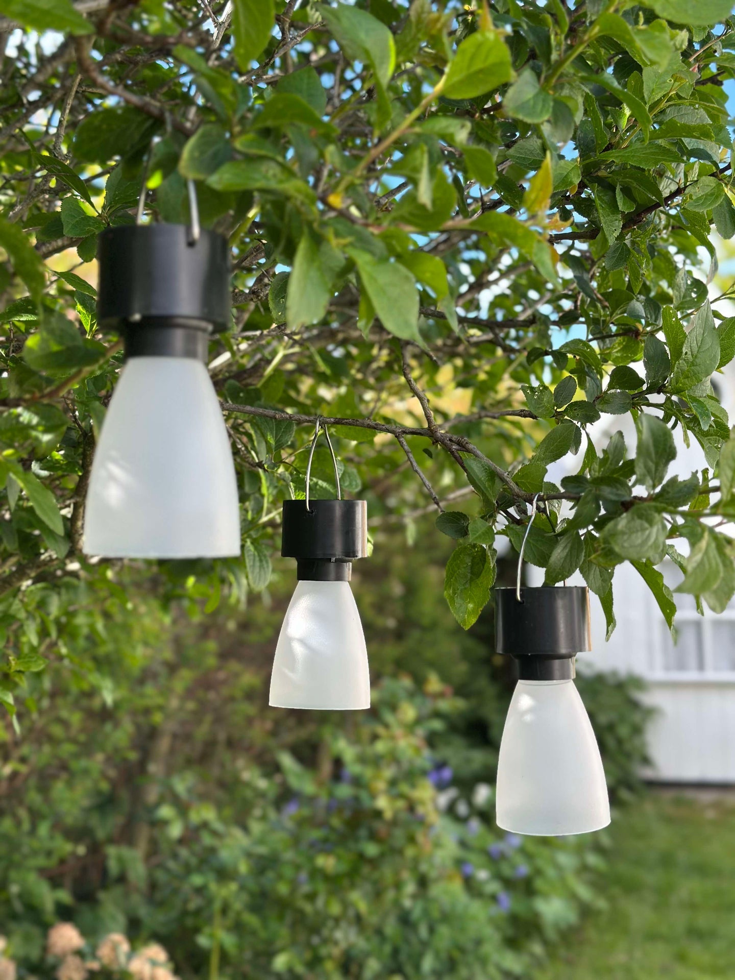 Mini-Lampe mit Solar