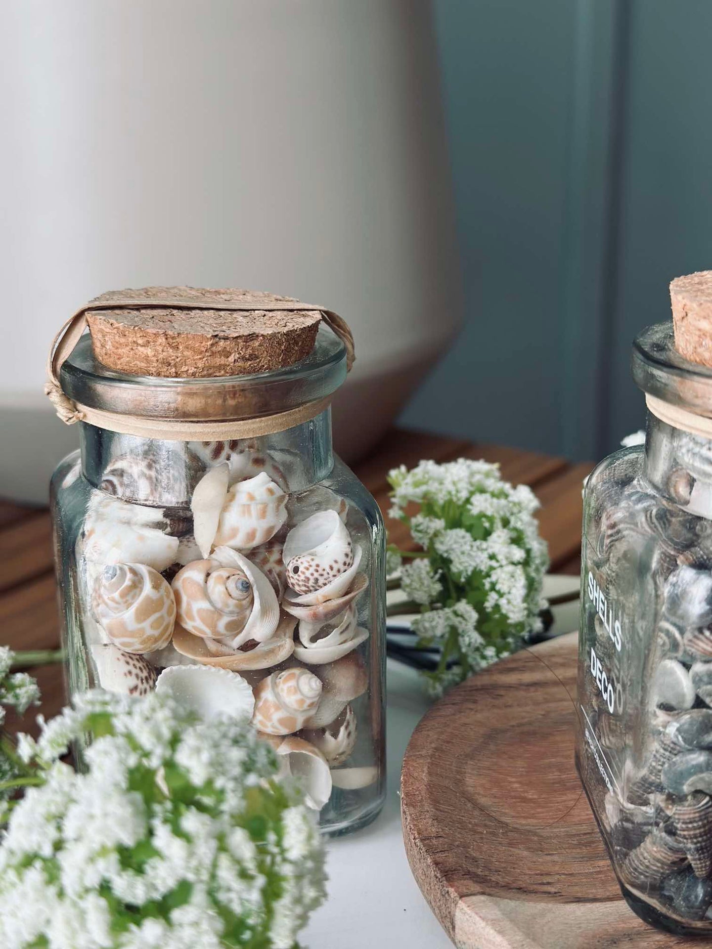 Muscheln aus Glas - Mix