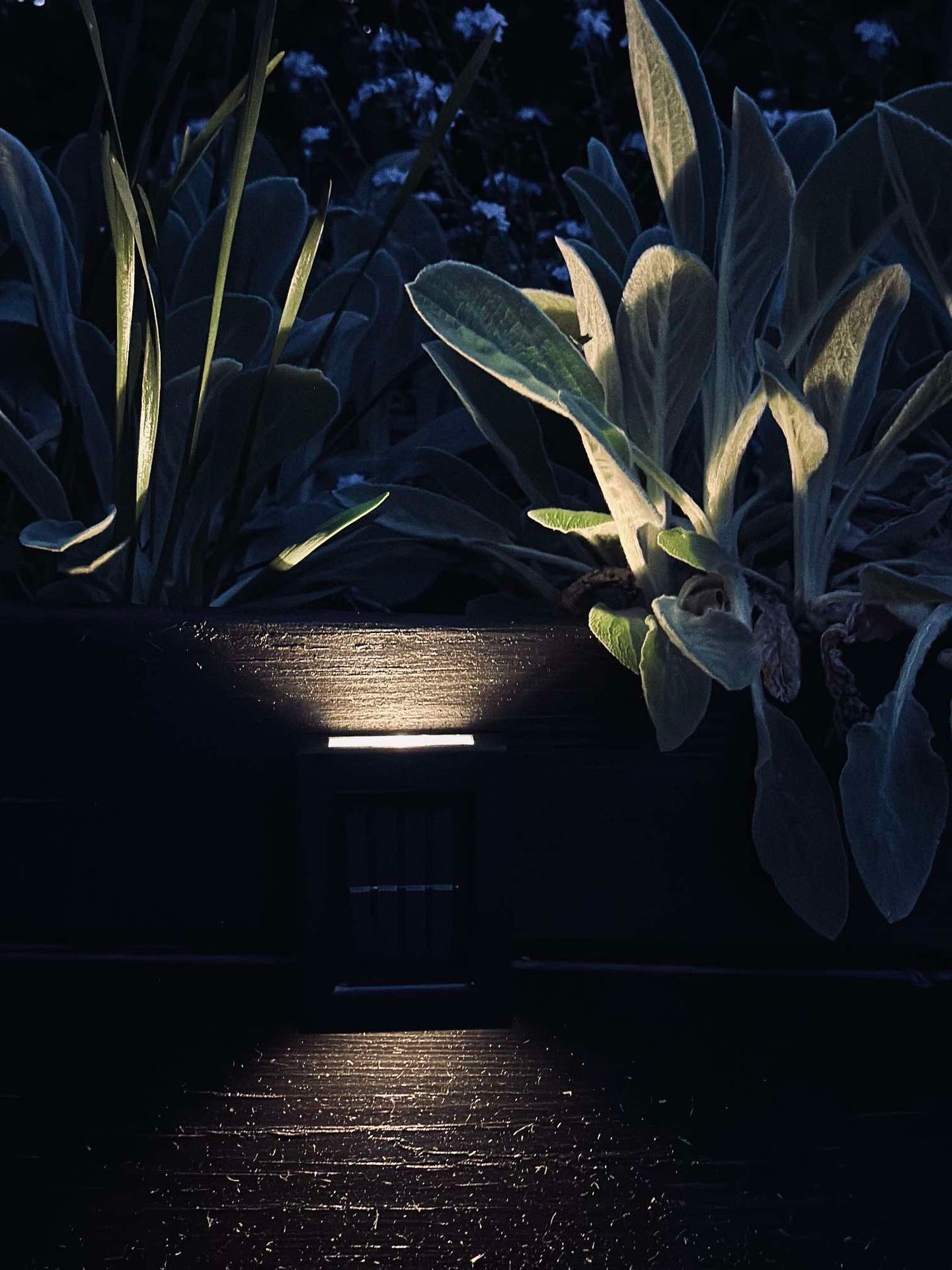 Aura Solar Lampe - 2er-Pack