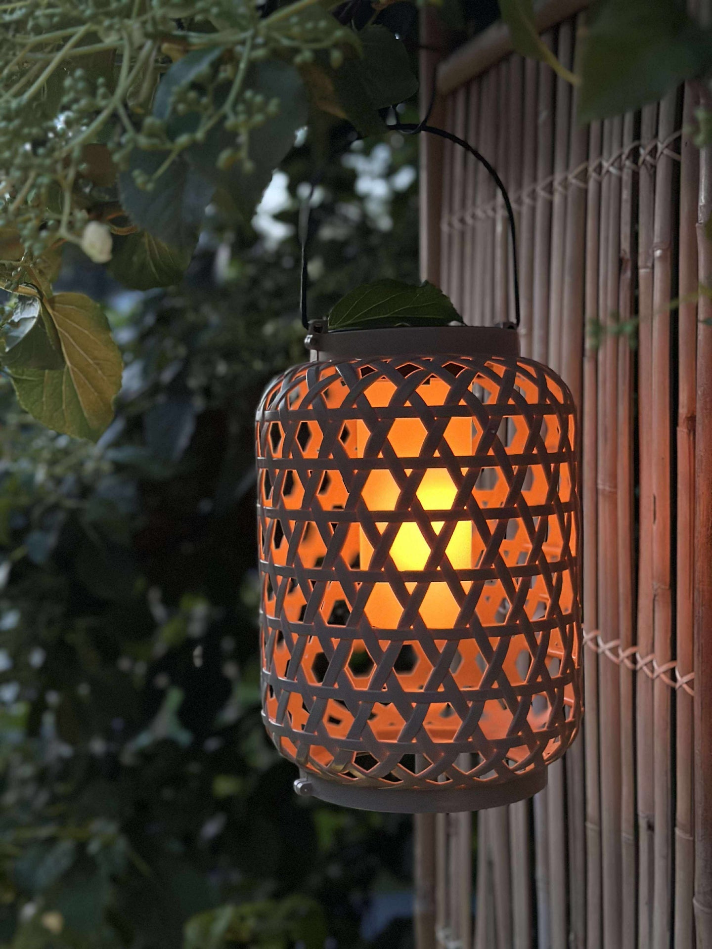 Laterne GINNY - Mehrere Farboptionen