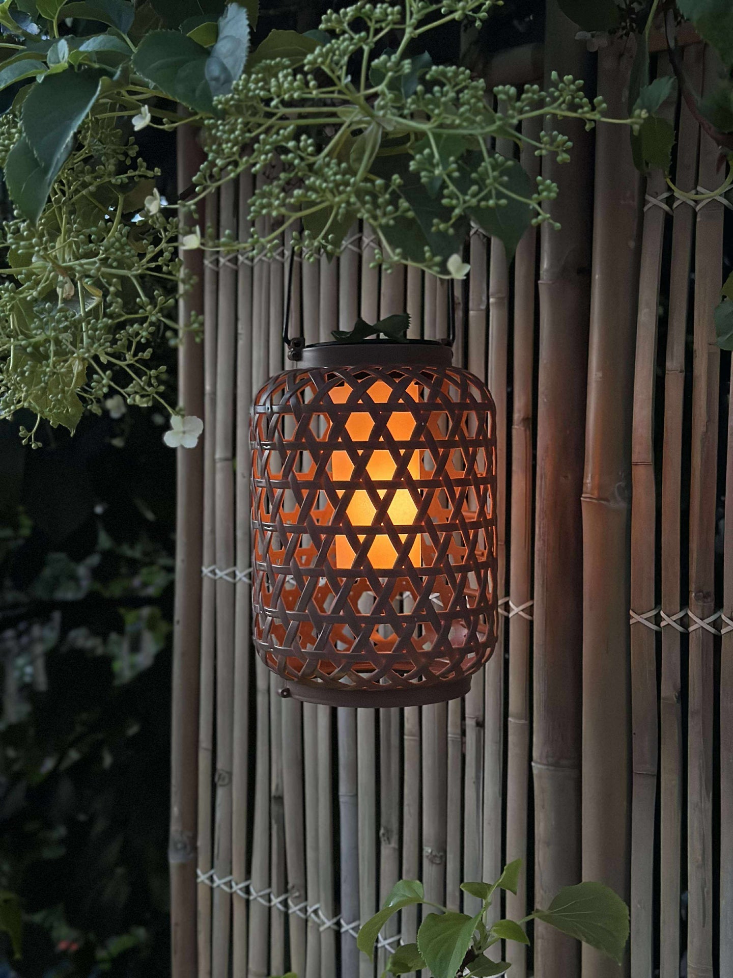 Laterne GINNY - Mehrere Farboptionen