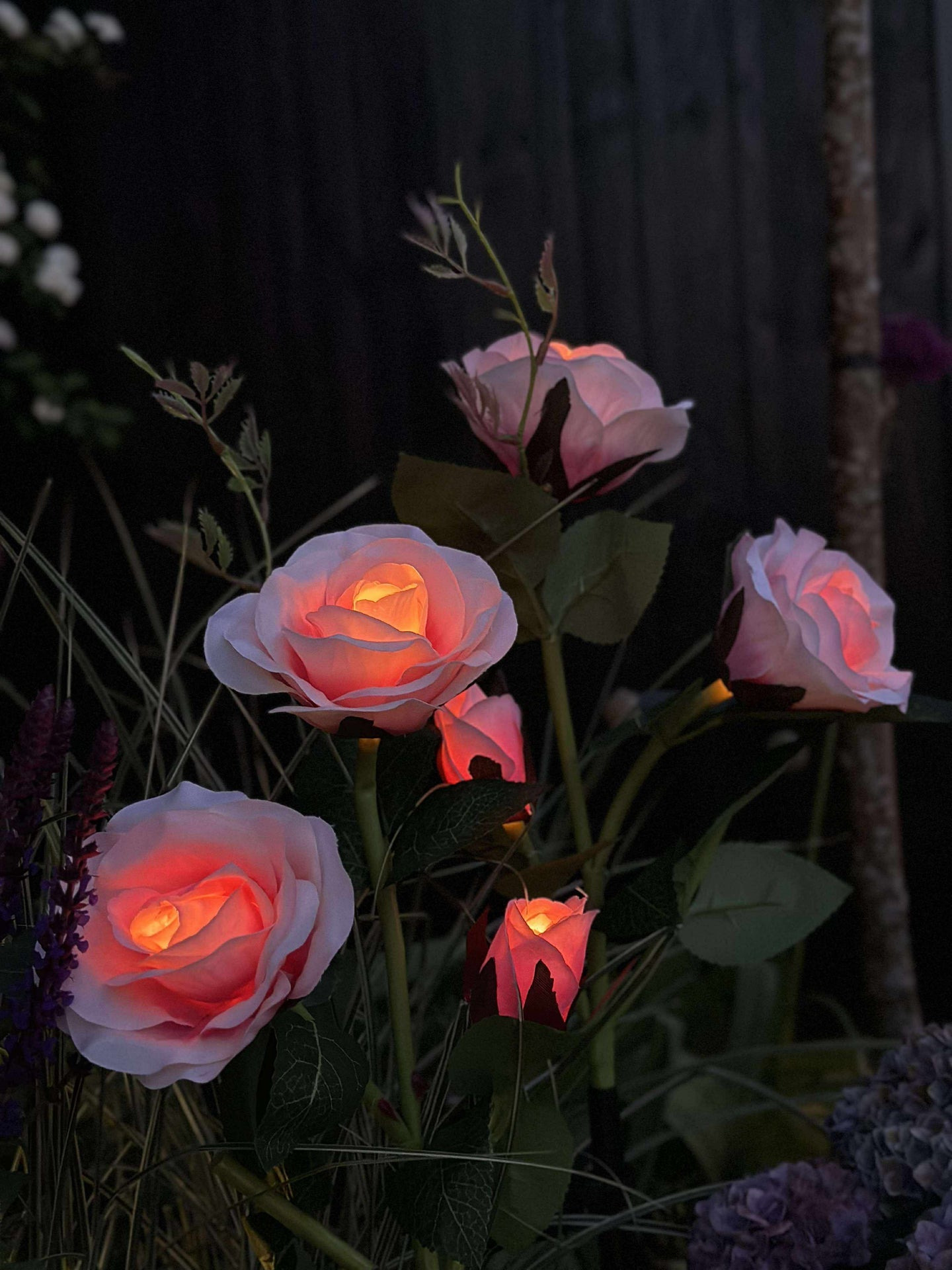 Rose mit Solarzellen - Rosa
