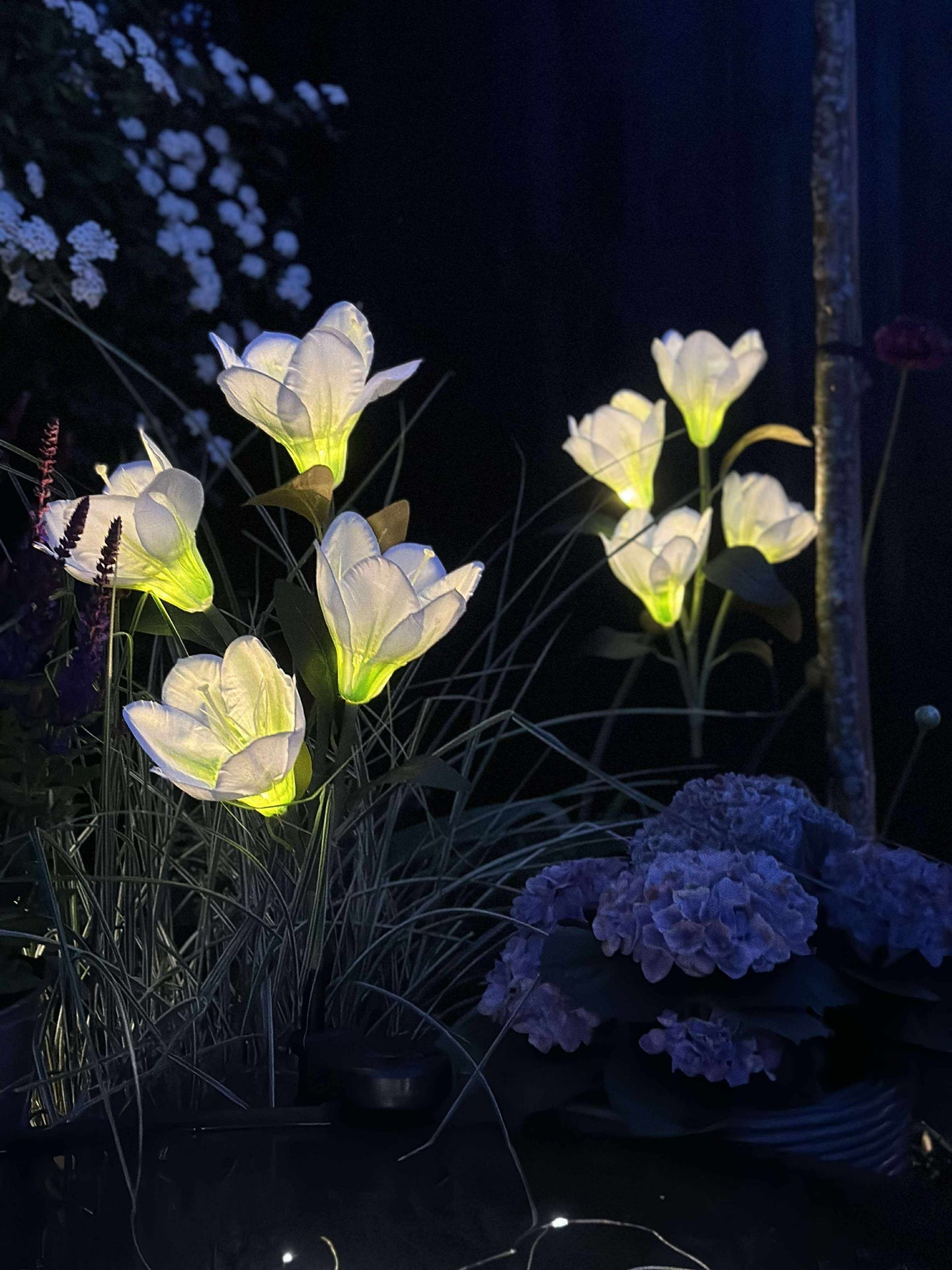 Magnolie mit Solarzellen - Weiß