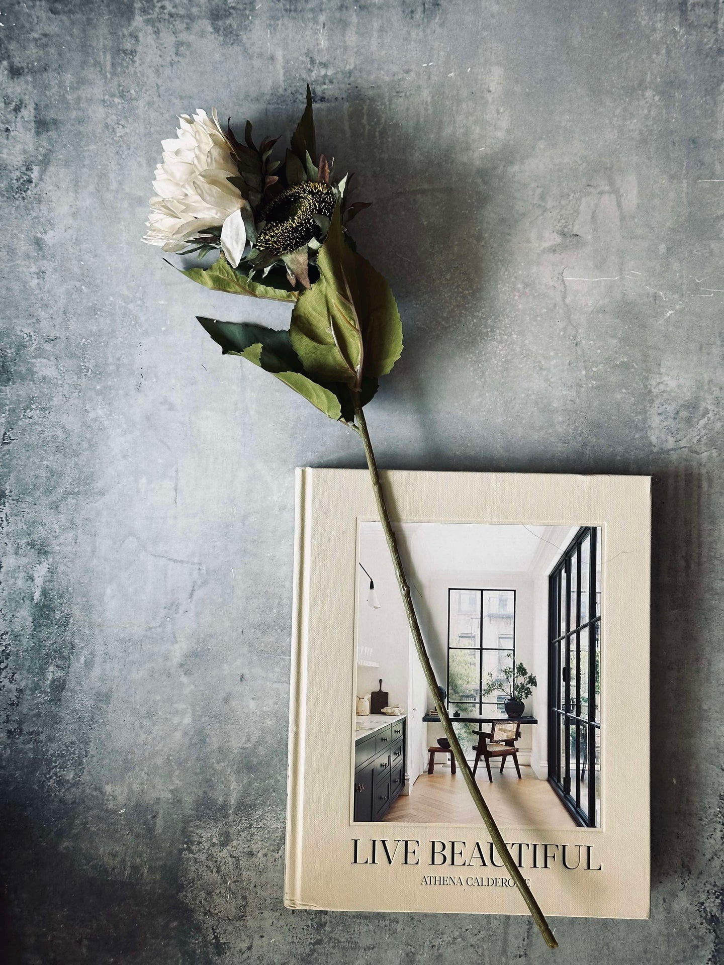 Sonnenblumenstiel