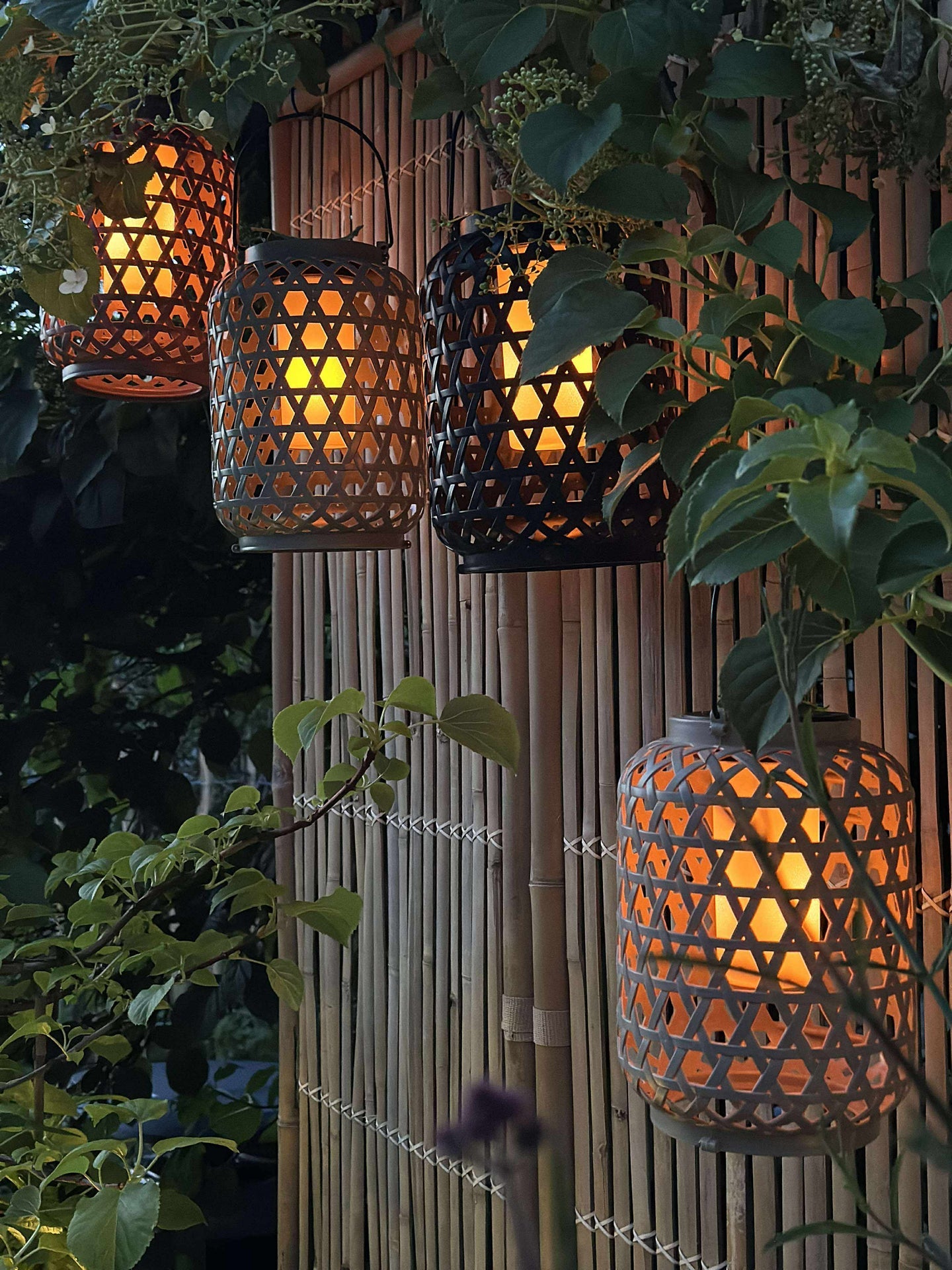 Laterne GINNY - Mehrere Farboptionen