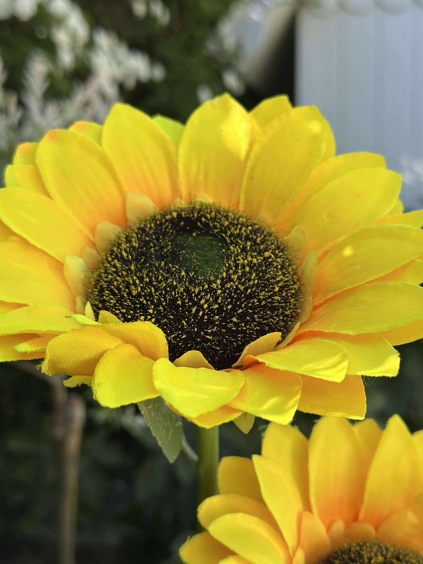 Sonnenblume mit Solarzellen