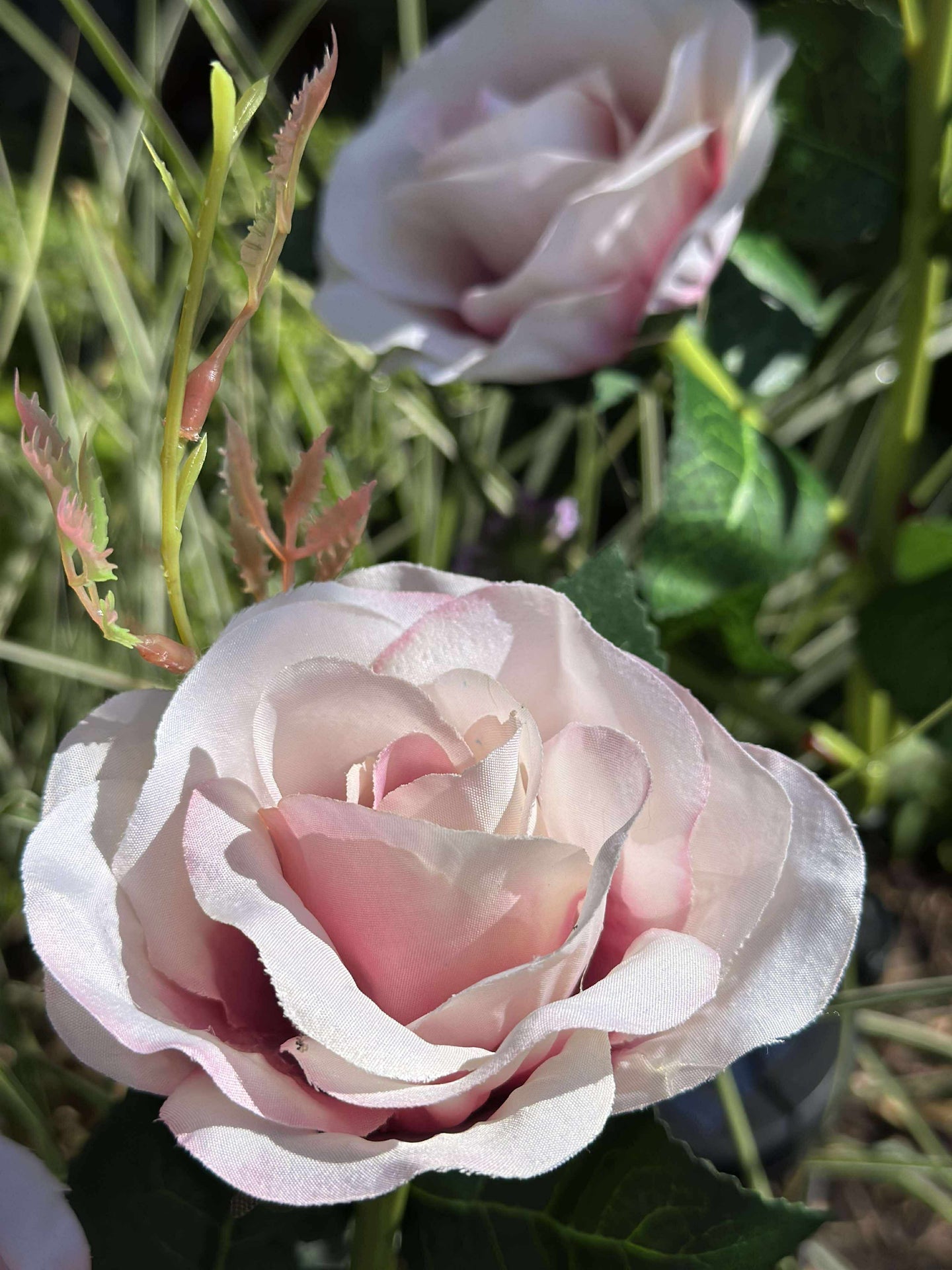 Rose mit Solarzellen - Rosa