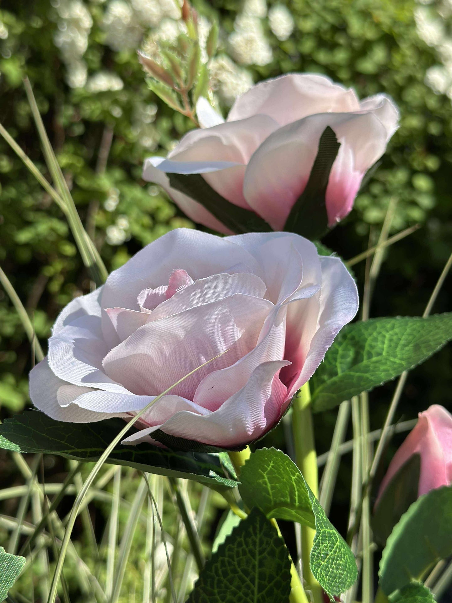 Rose mit Solarzellen - Rosa