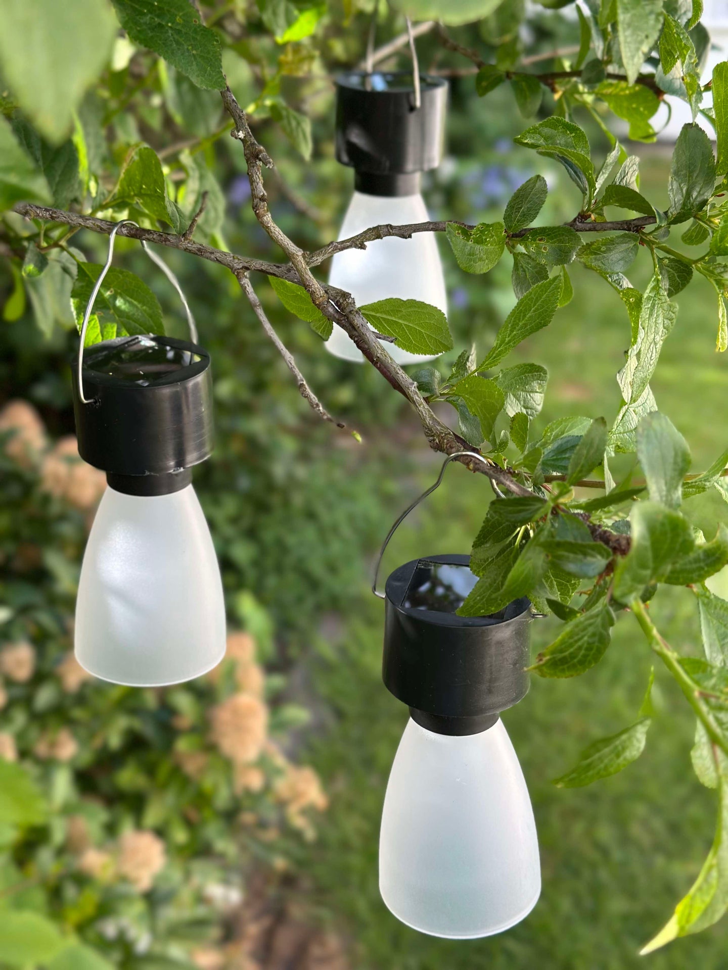 Mini-Lampe mit Solar