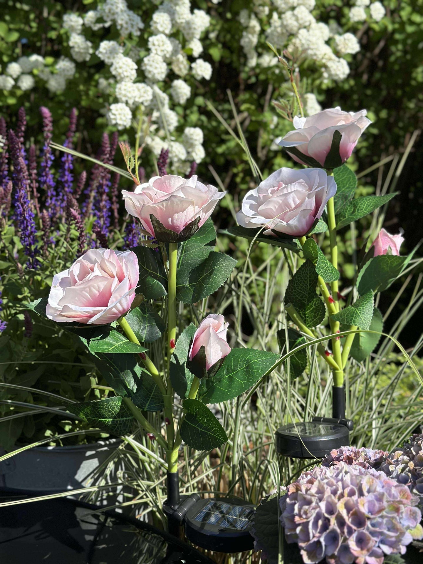 Rose mit Solarzellen - Rosa