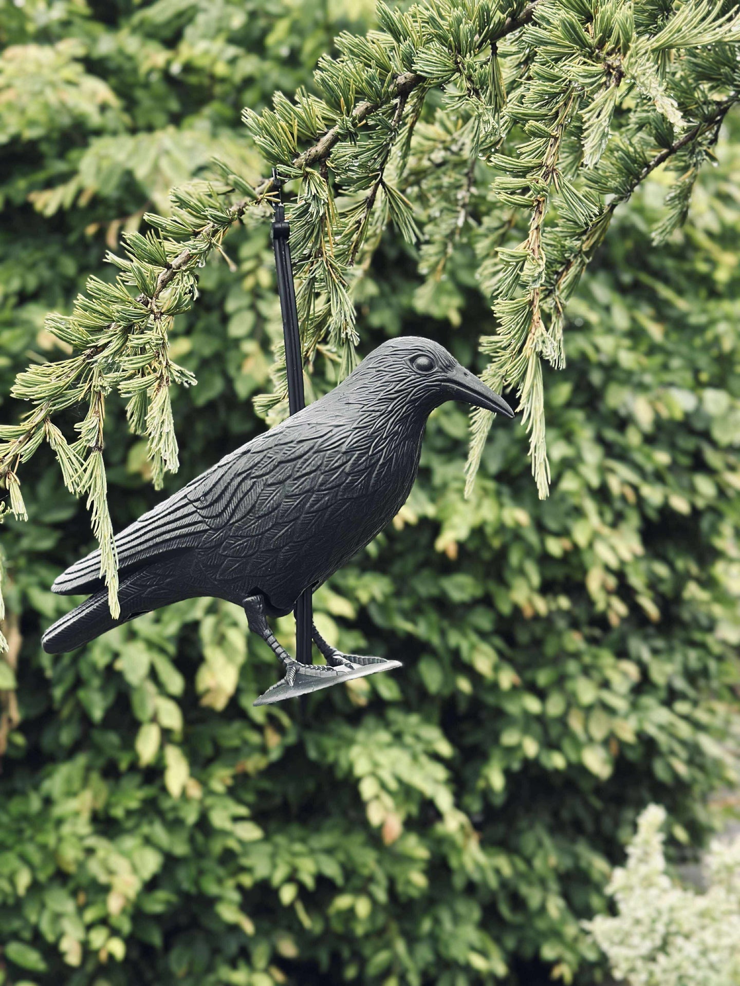 Vogel aus schwarzem Kunststoff