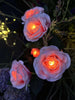 Rose mit Solarzellen - Rosa