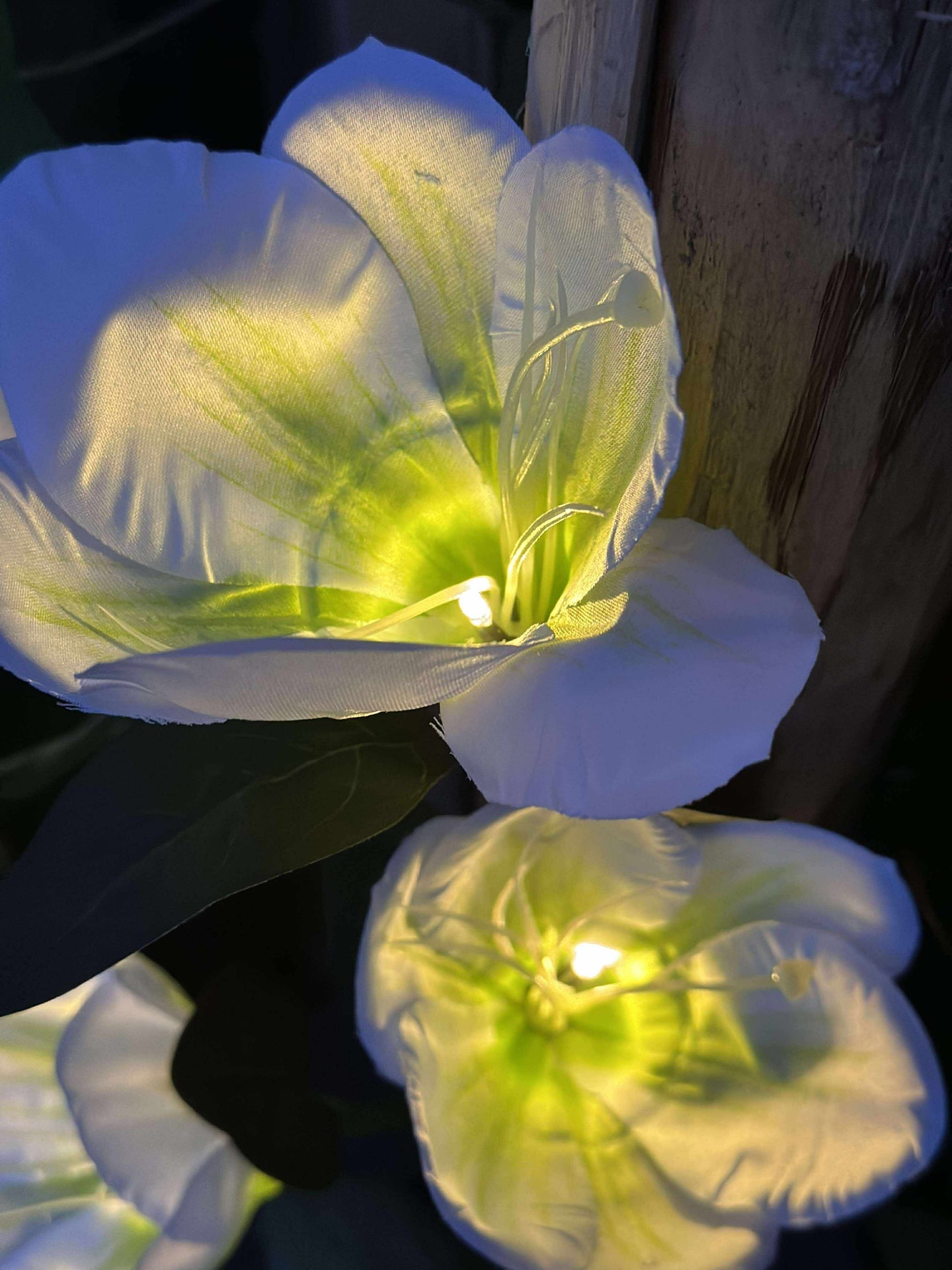 Magnolie mit Solarzellen - Weiß