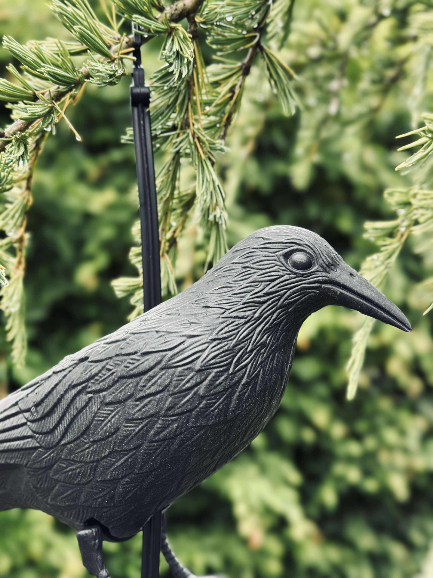 Vogel aus schwarzem Kunststoff