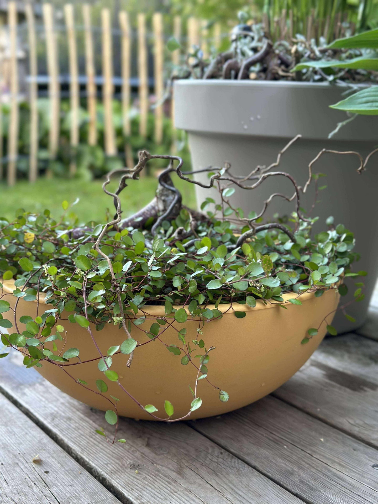 Spiegelbecken aus Recycling-Kunststoff - Yellow