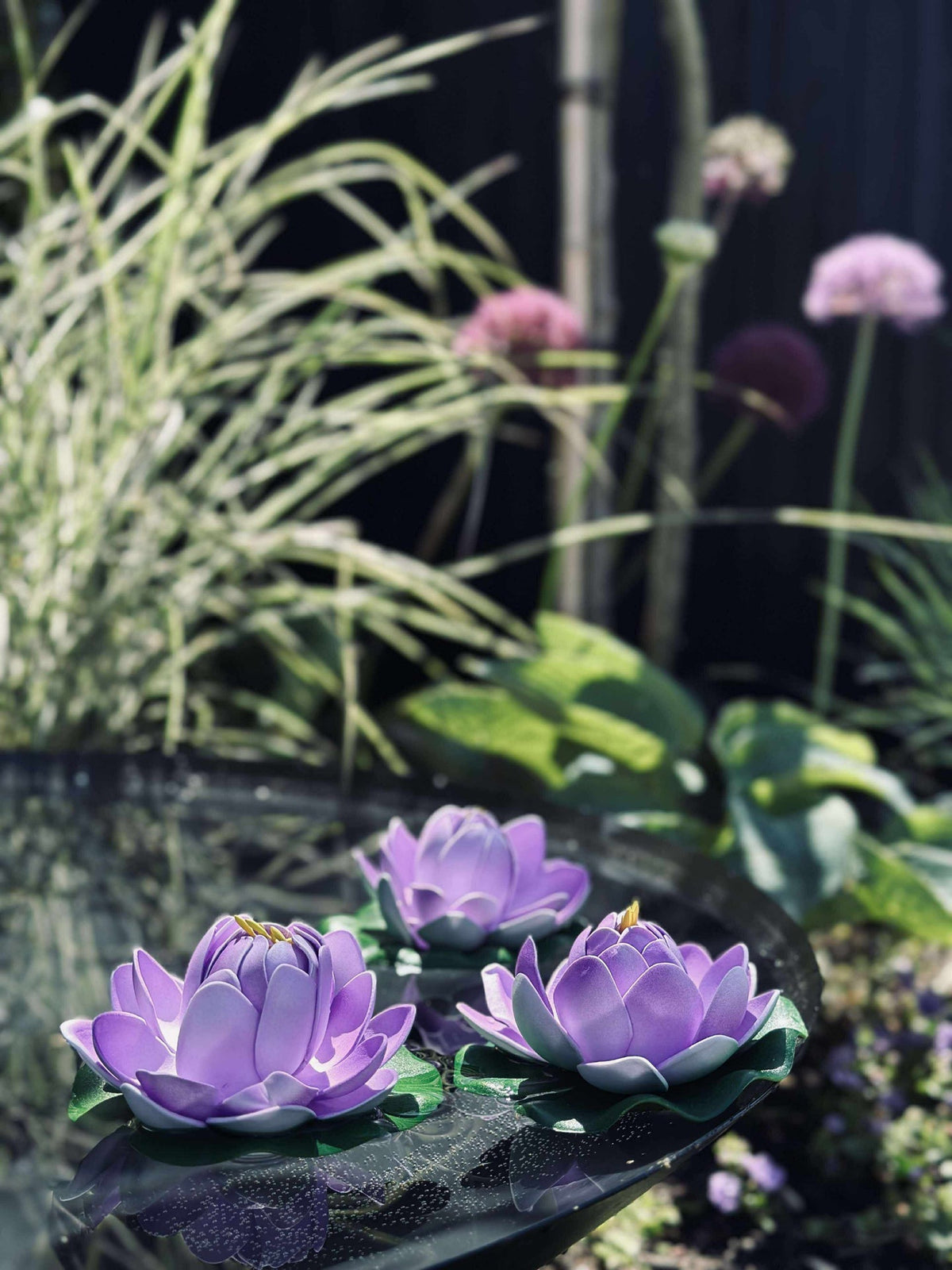 Lotus - Mehrere Farben