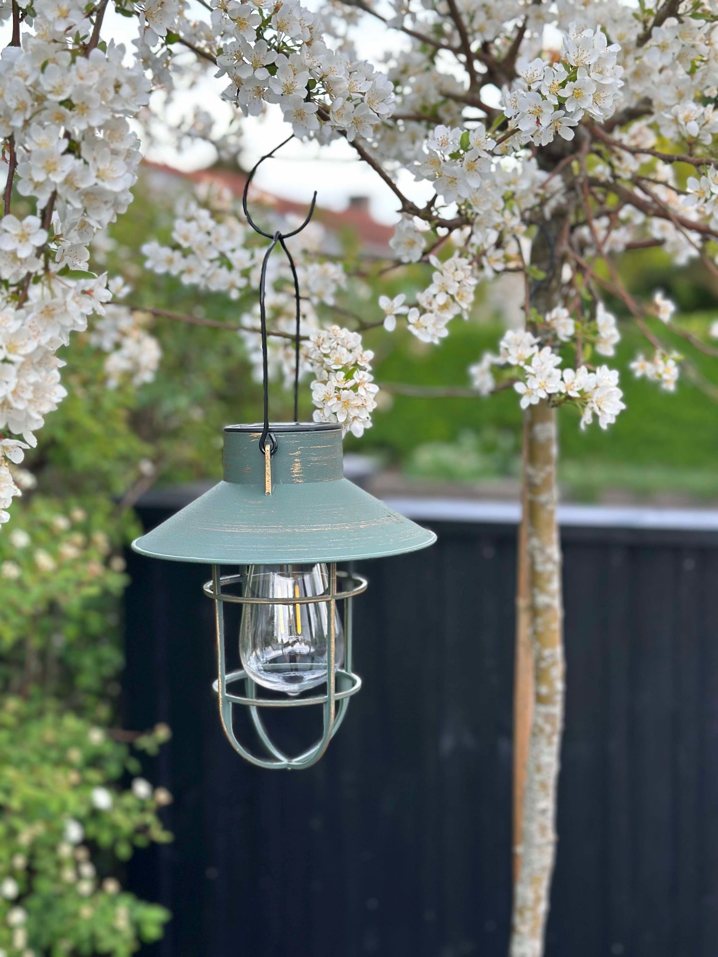Solar-Lampe mit Aufhängung - Grün / Gold