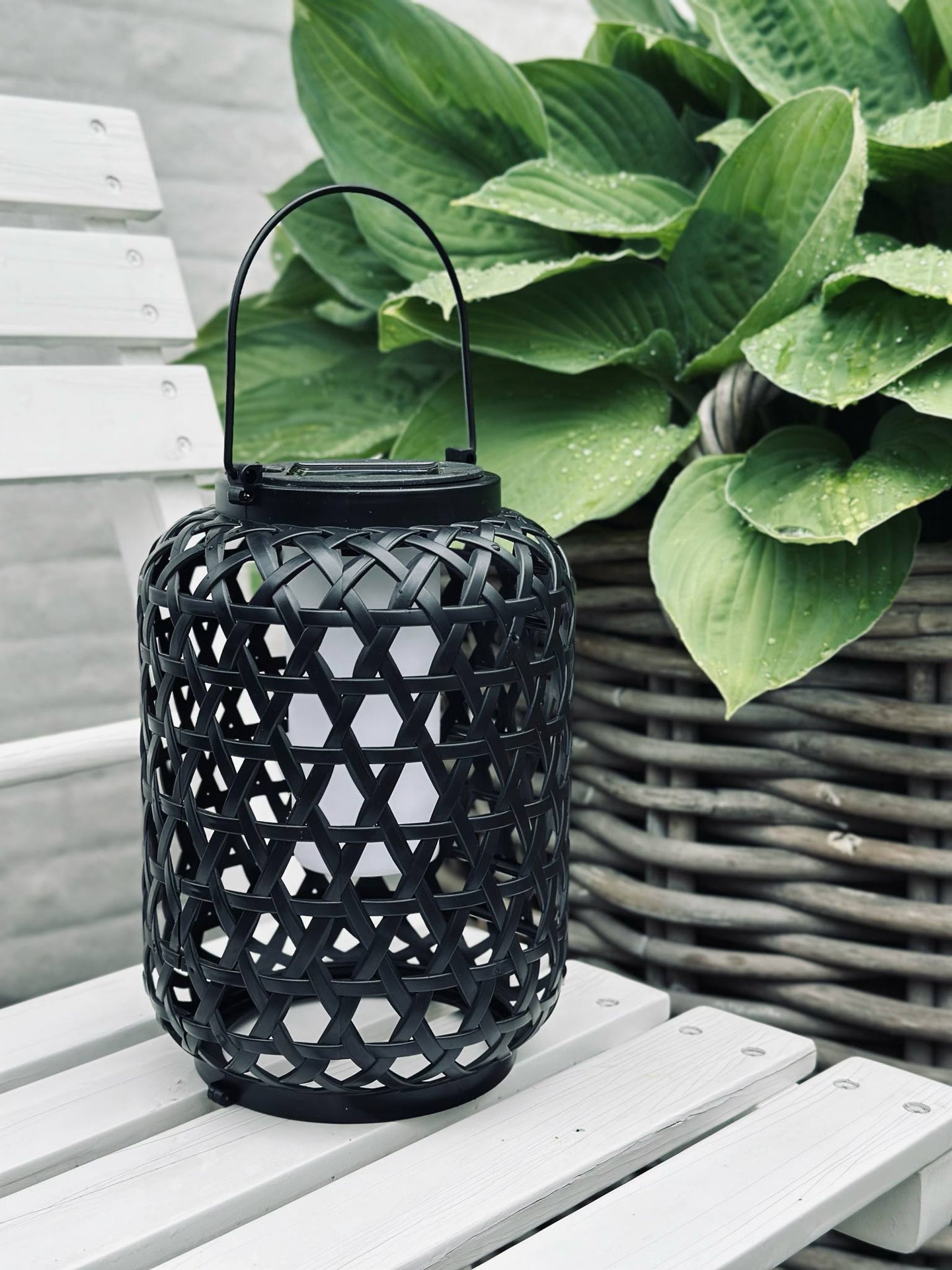 Laterne GINNY - Mehrere Farboptionen