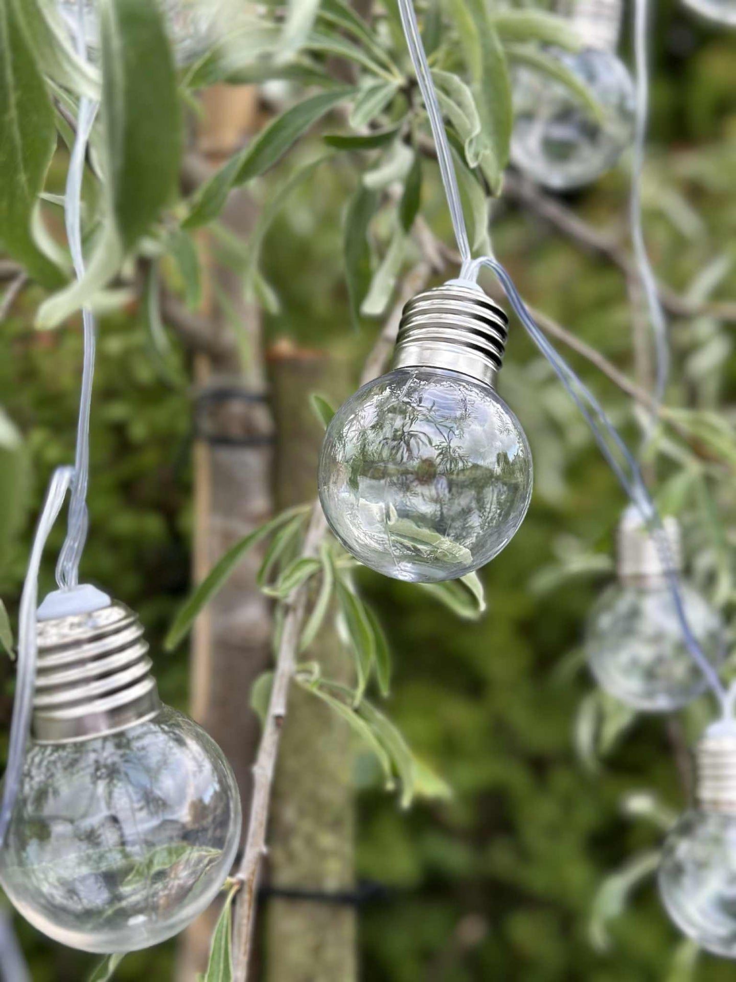 Lichterkette Laura mit Solarzellen - Außenbereich mit 10 und 20 Lichtern