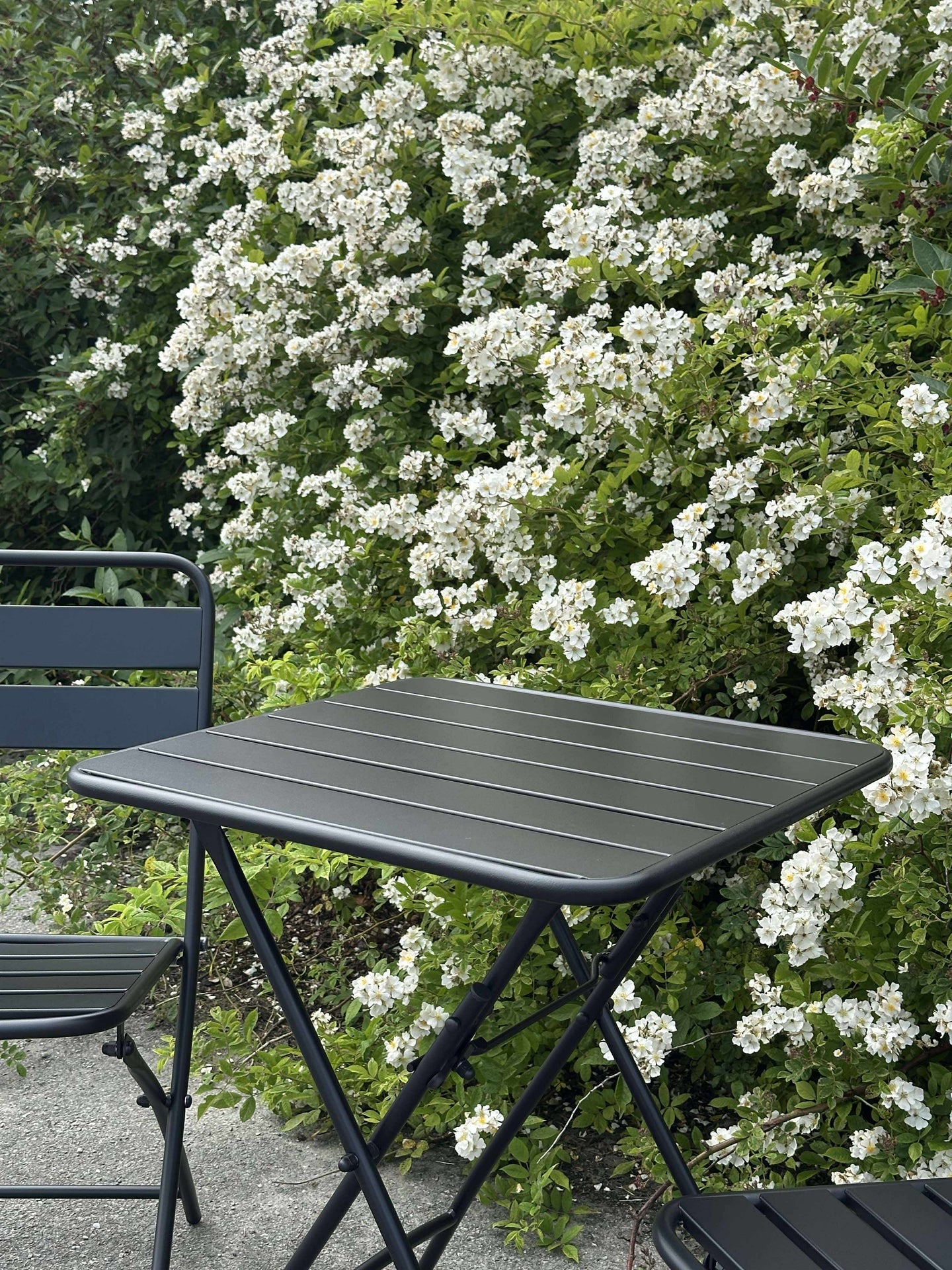 Café-Set - Black garden
