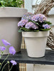 Pflanzentopf Ø 20 cm - Recycling Beige