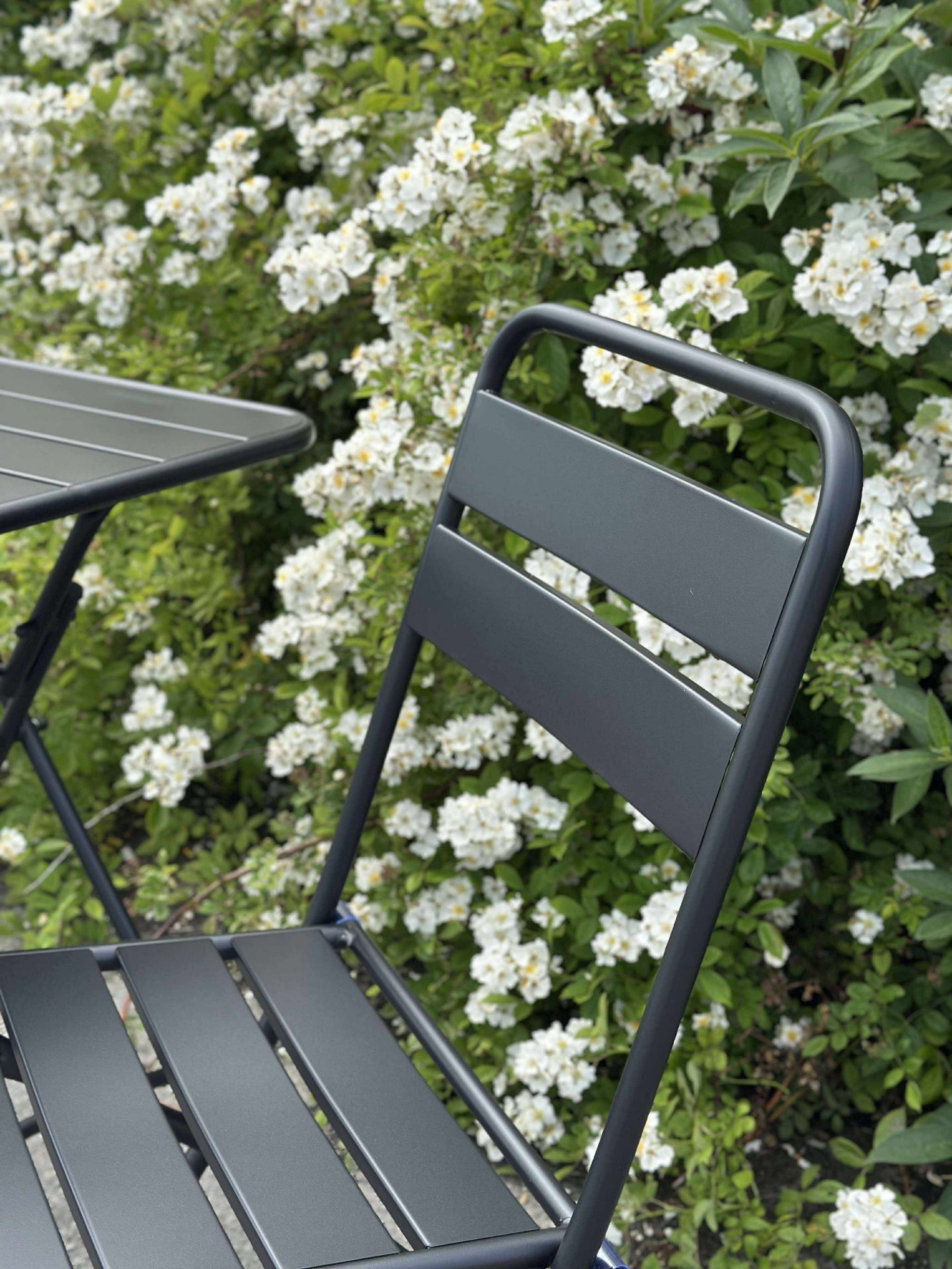 Café-Set - Black garden