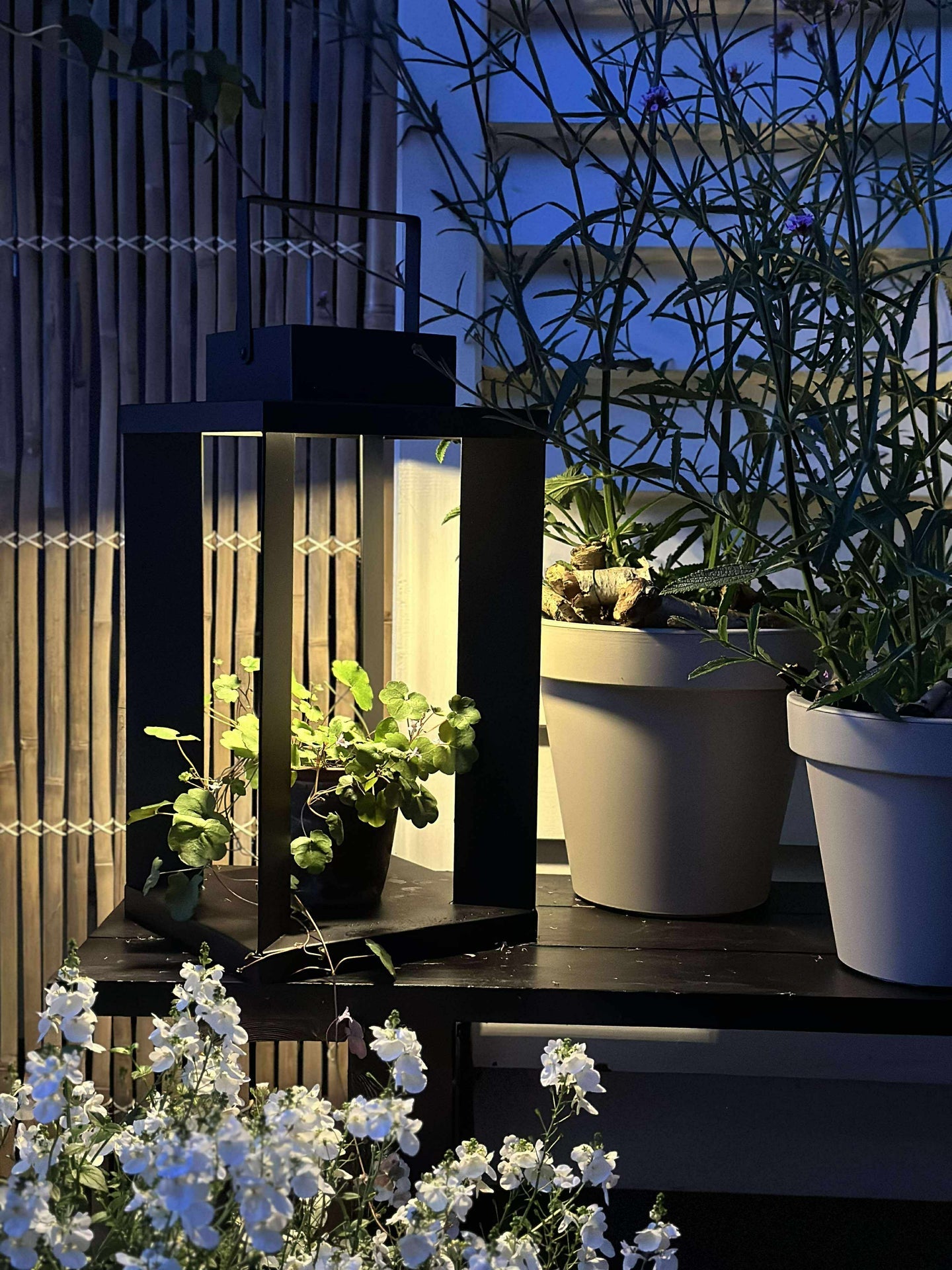 Laterne LUX mit Solarzellen