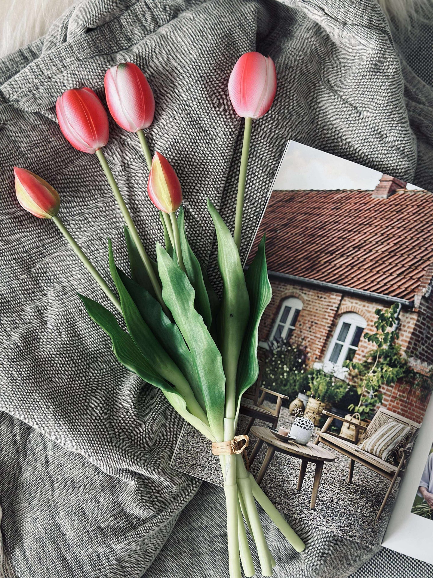 Tulpen – Mehrere Farben