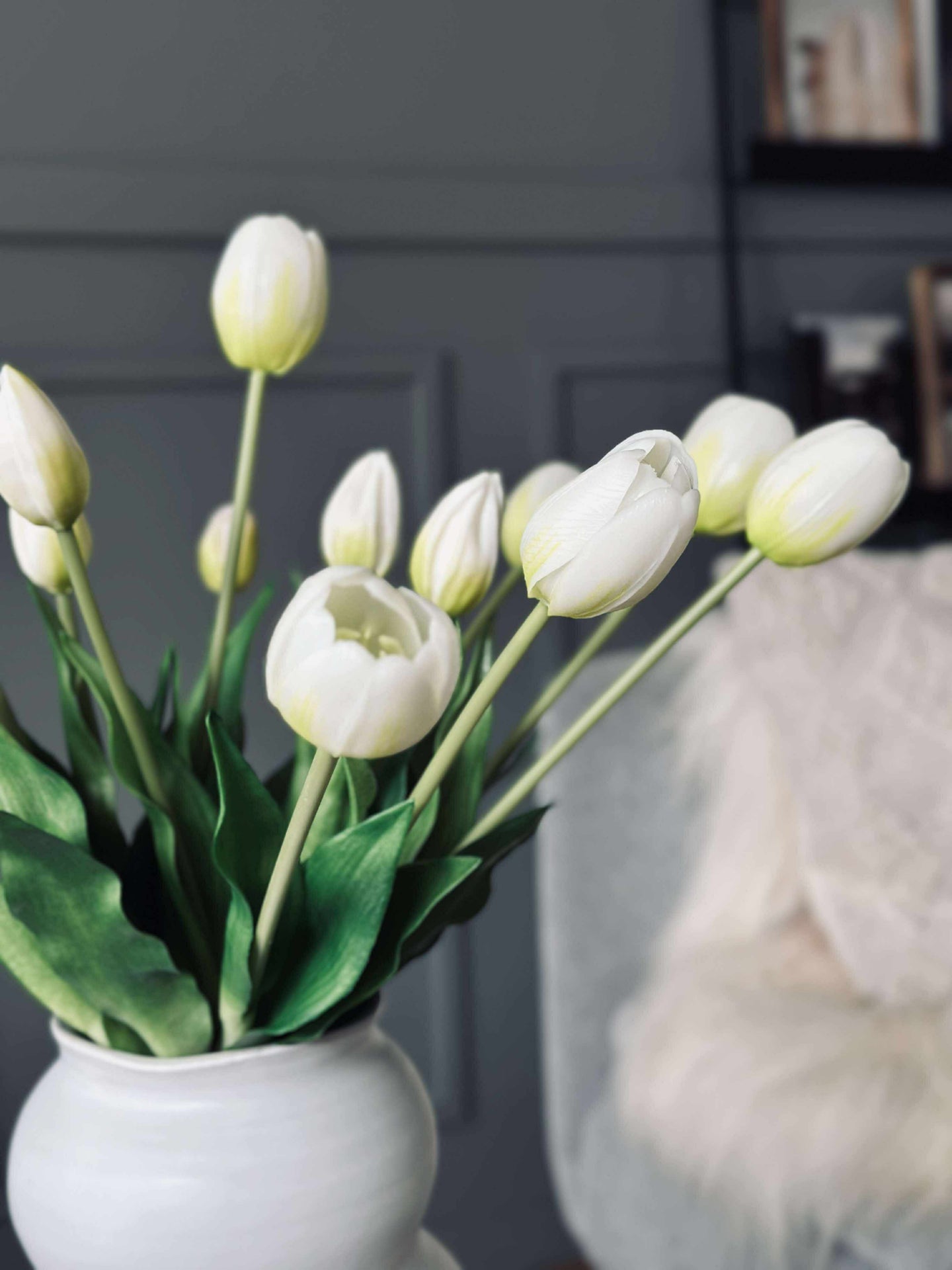 Tulpen – Mehrere Farben