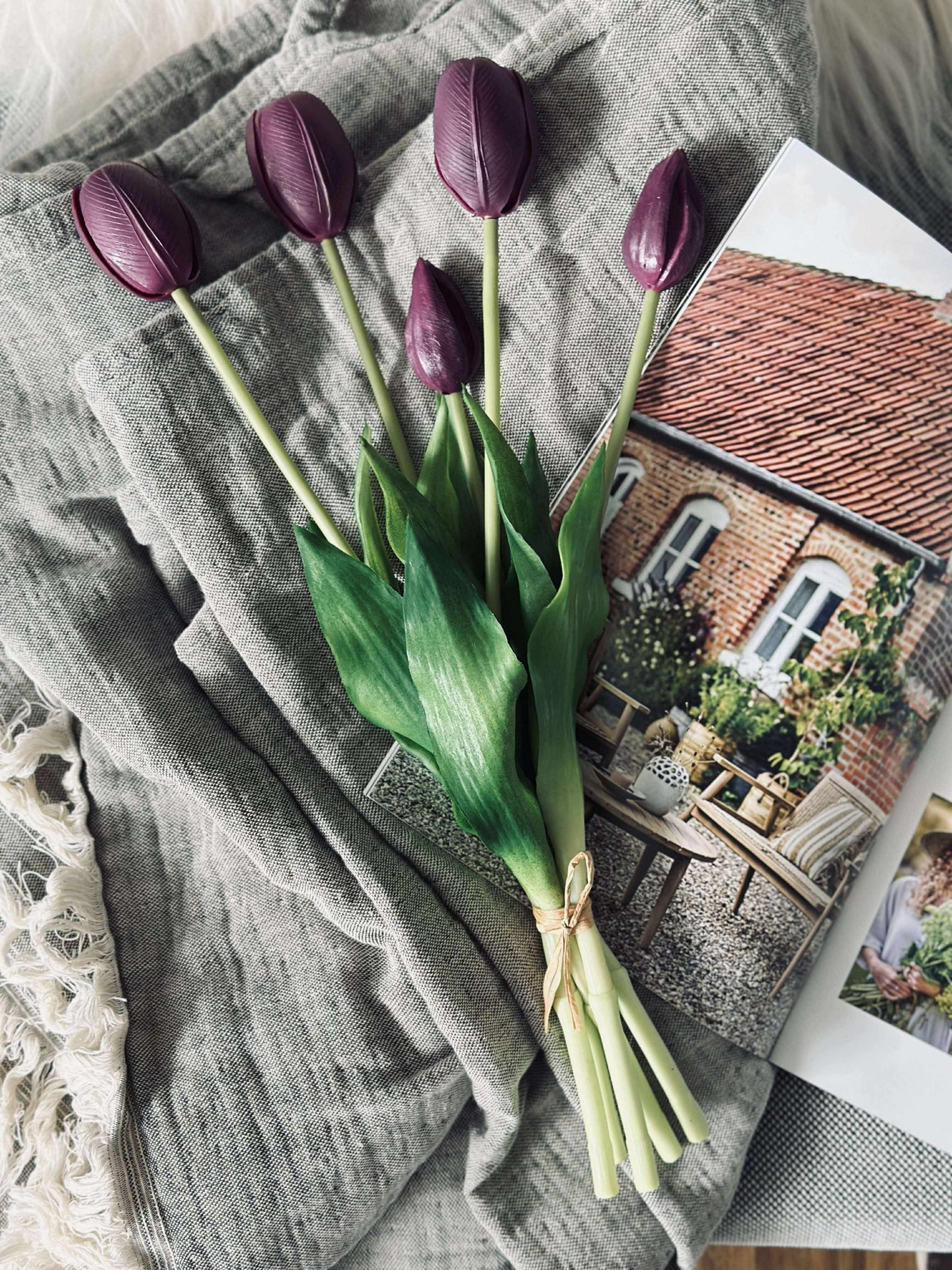 Tulpen – Mehrere Farben