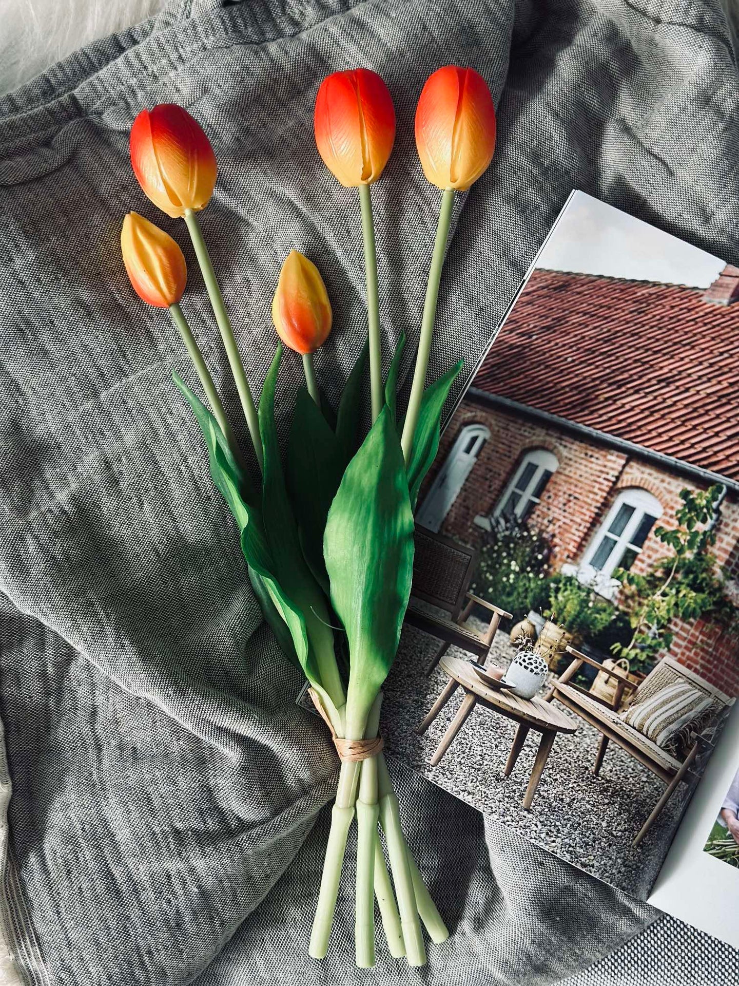 Tulpen – Mehrere Farben