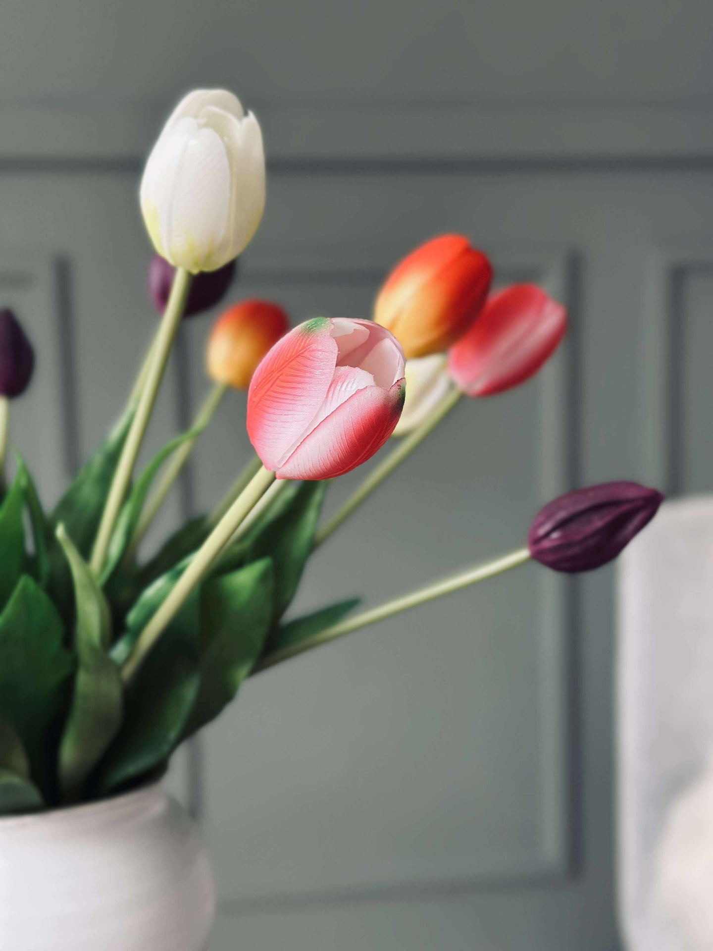 Tulpen – Mehrere Farben