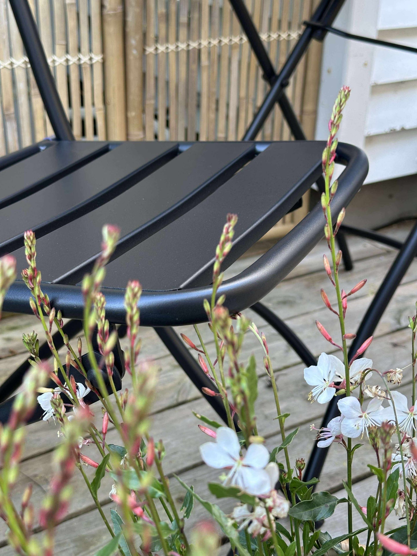 Café-Set - Black garden