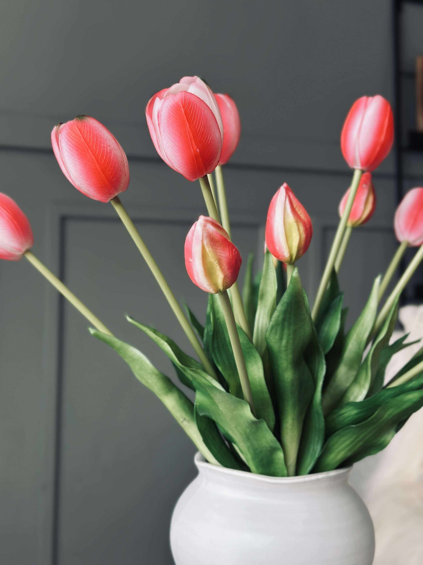 Tulpen – Mehrere Farben