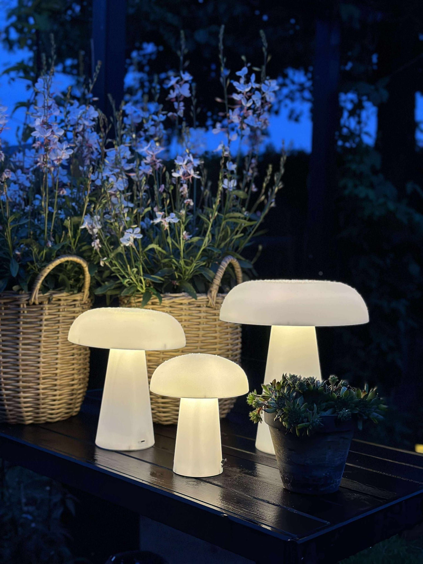 Mushroom wiederaufladbar - XL