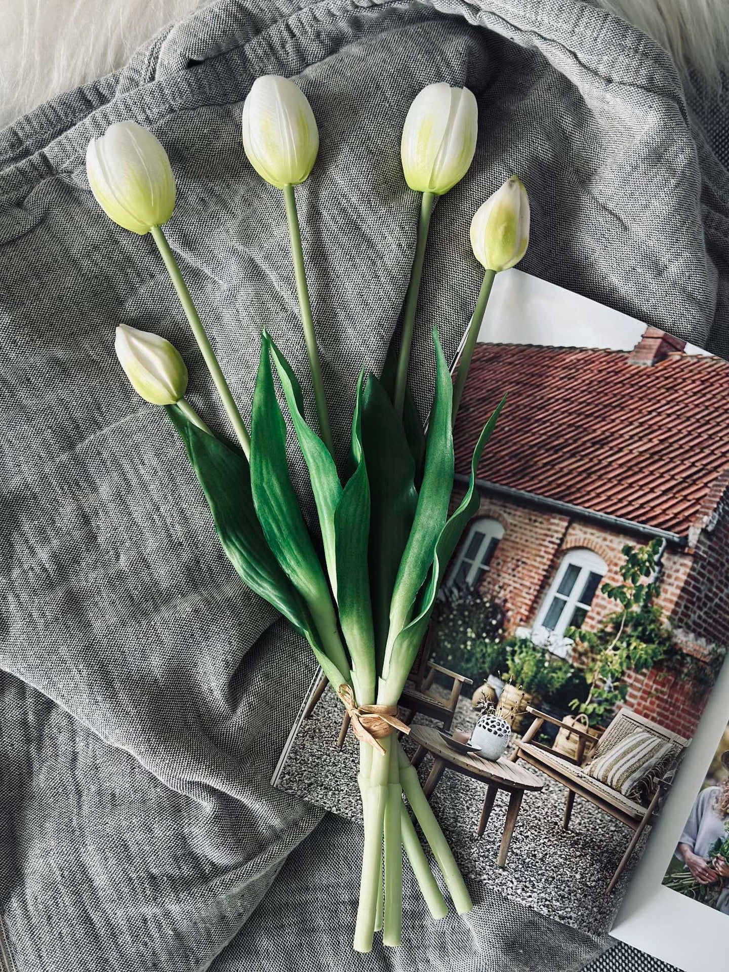 Tulpen – Mehrere Farben