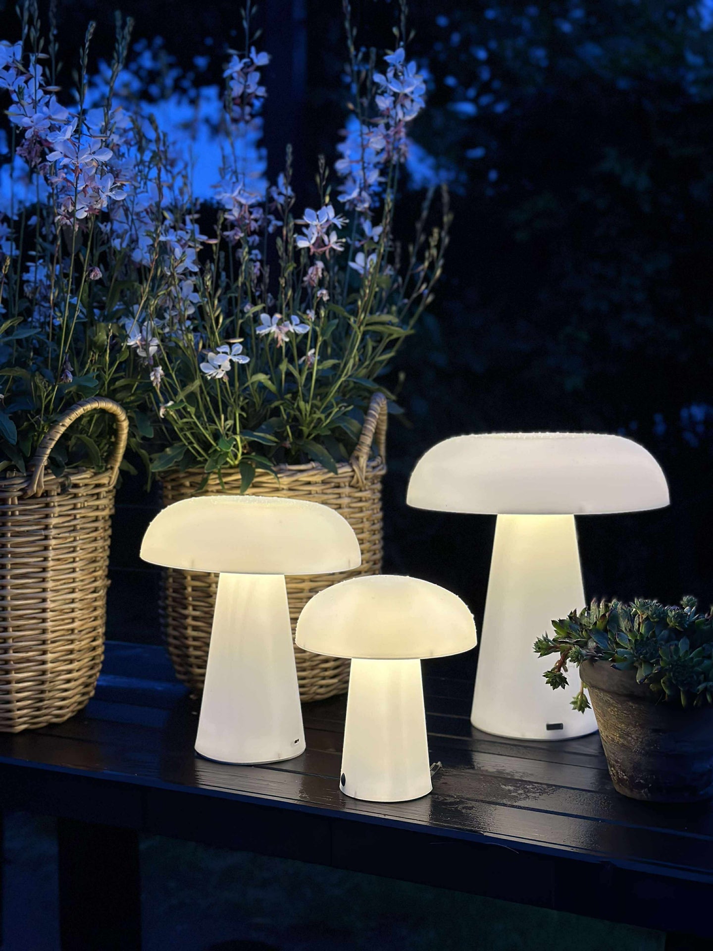 Mushroom wiederaufladbar - XL