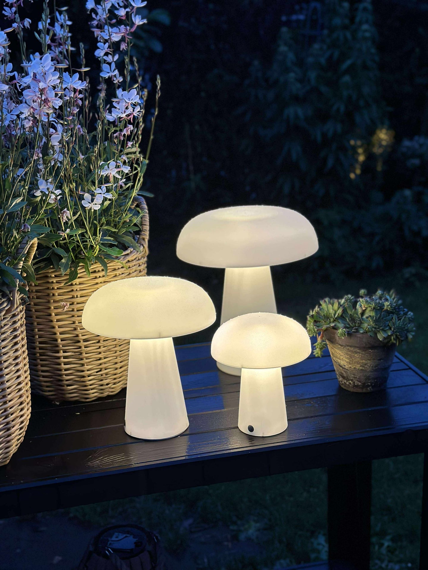 Mushroom wiederaufladbar - Large