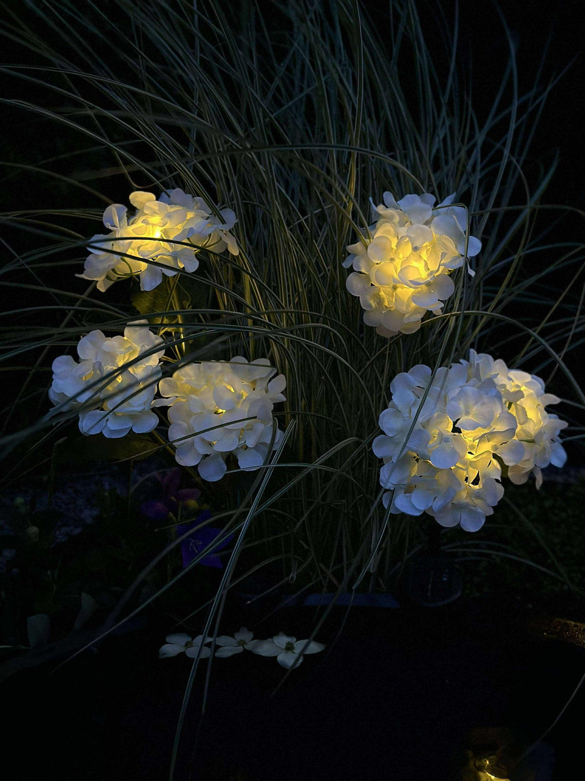 Hortensie mit Solarzellen - Weiß