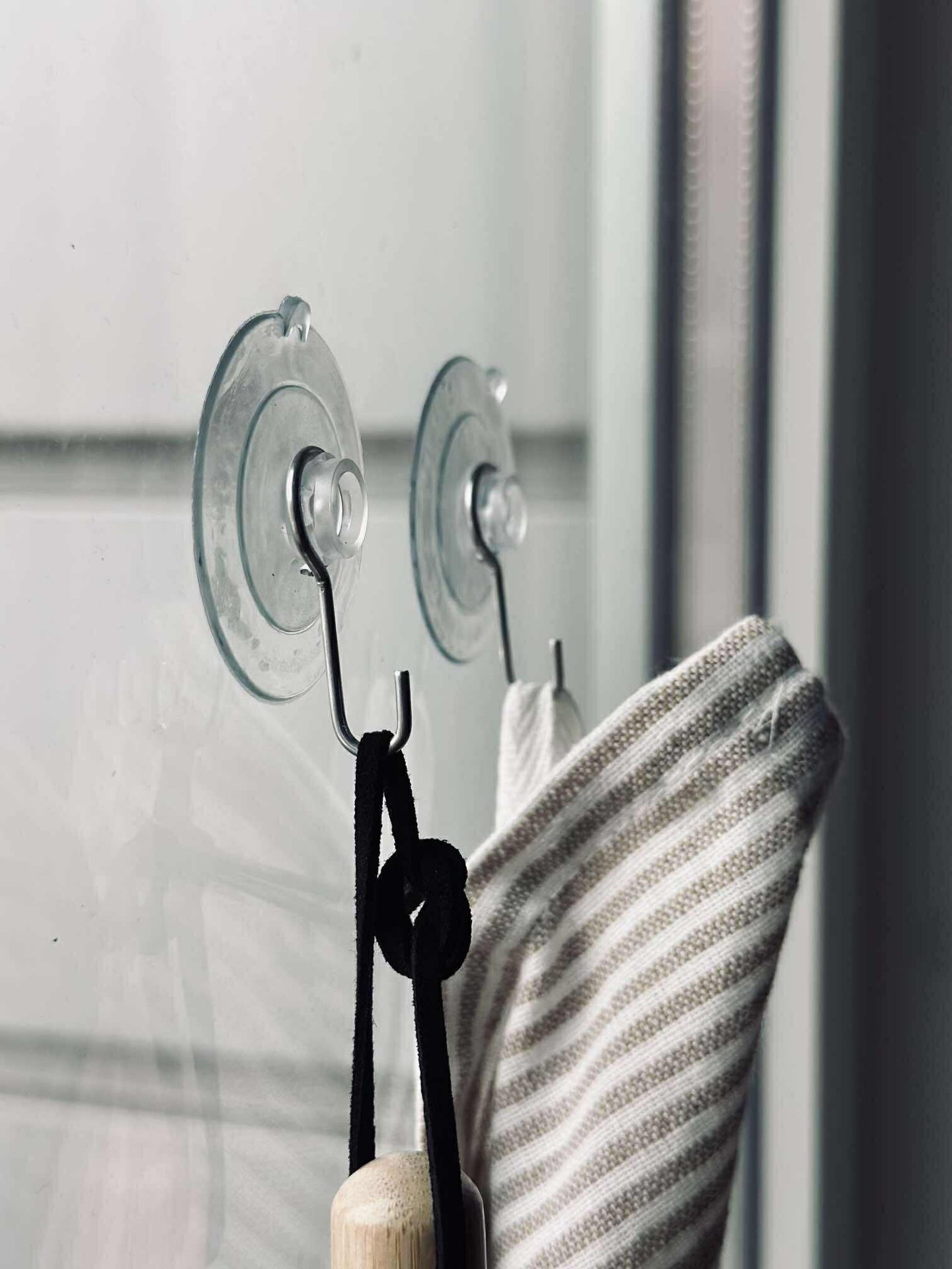 Haken mit Saugnapf - 8 Stk.