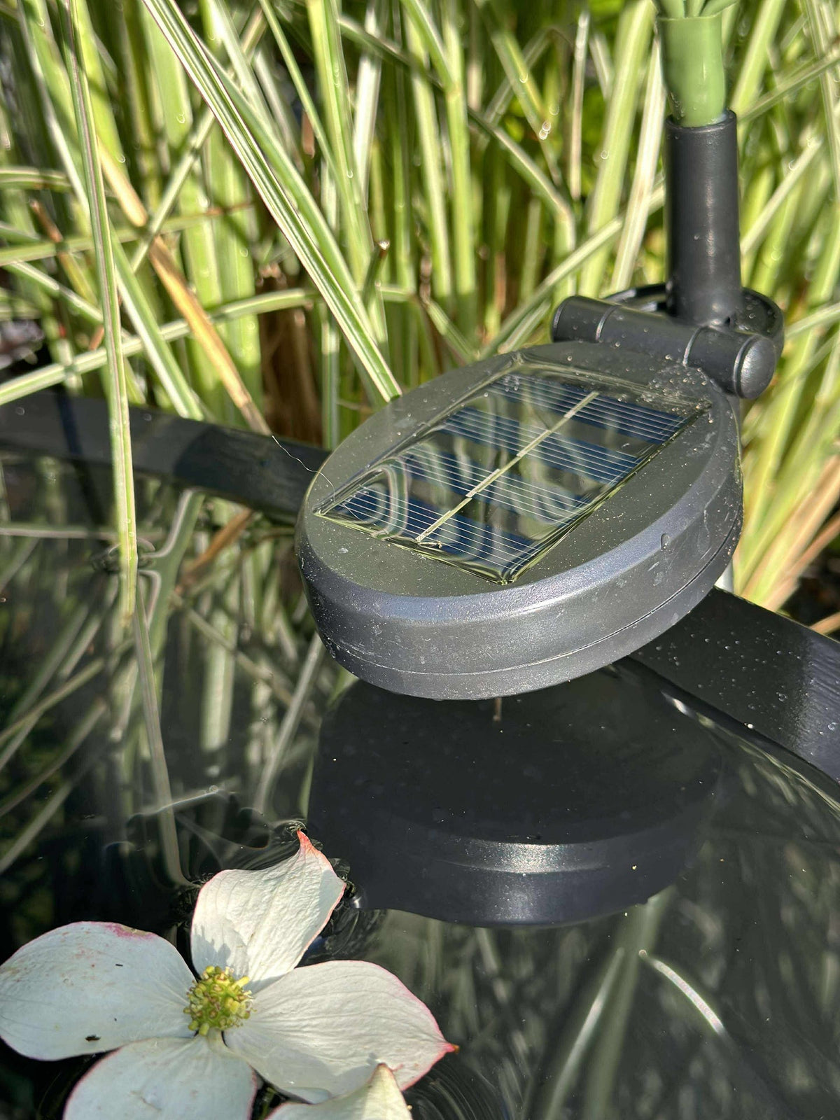Hortensie mit Solarzellen - Weiß
