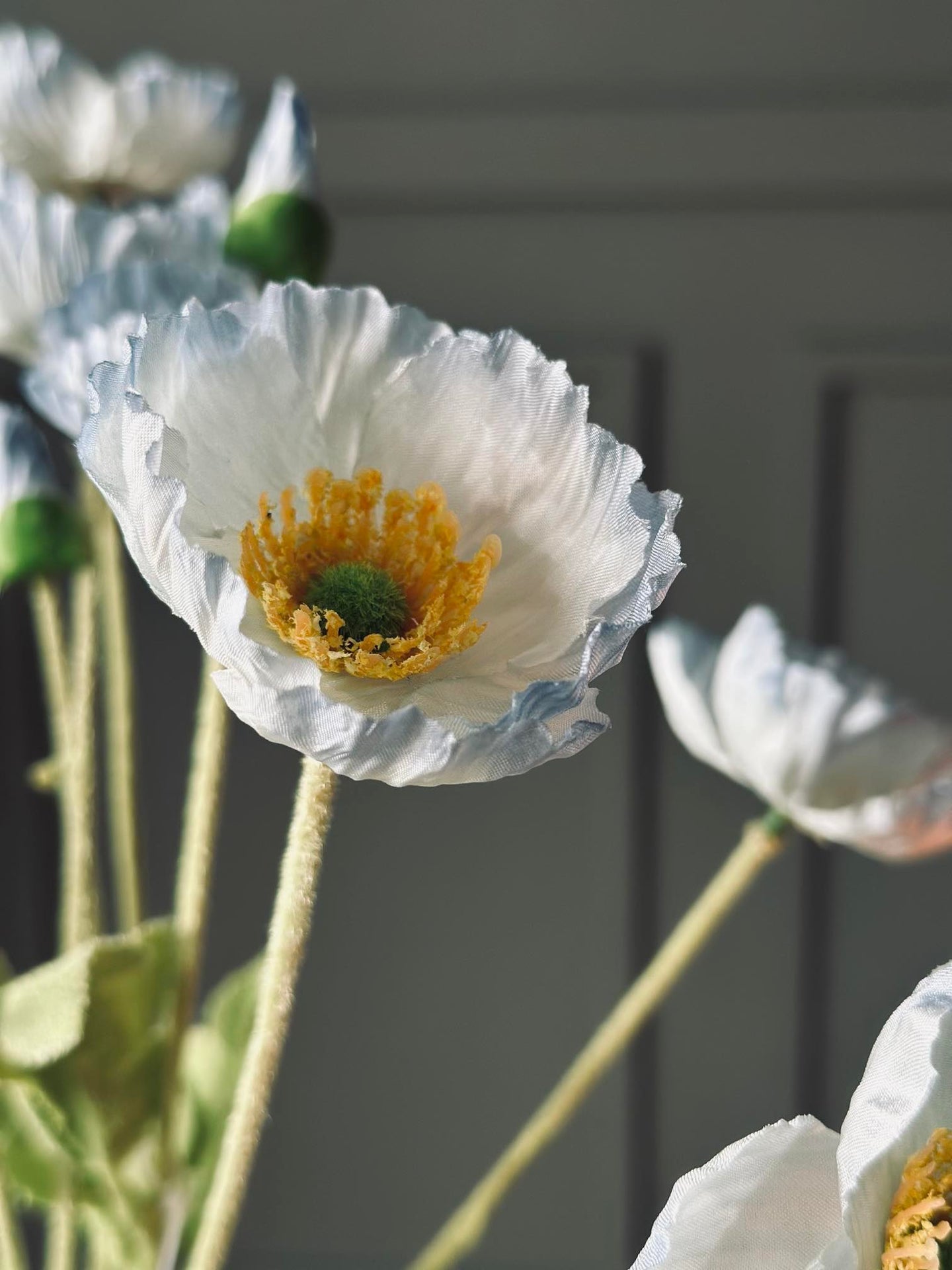 Strauß blaue Mohnblumen
