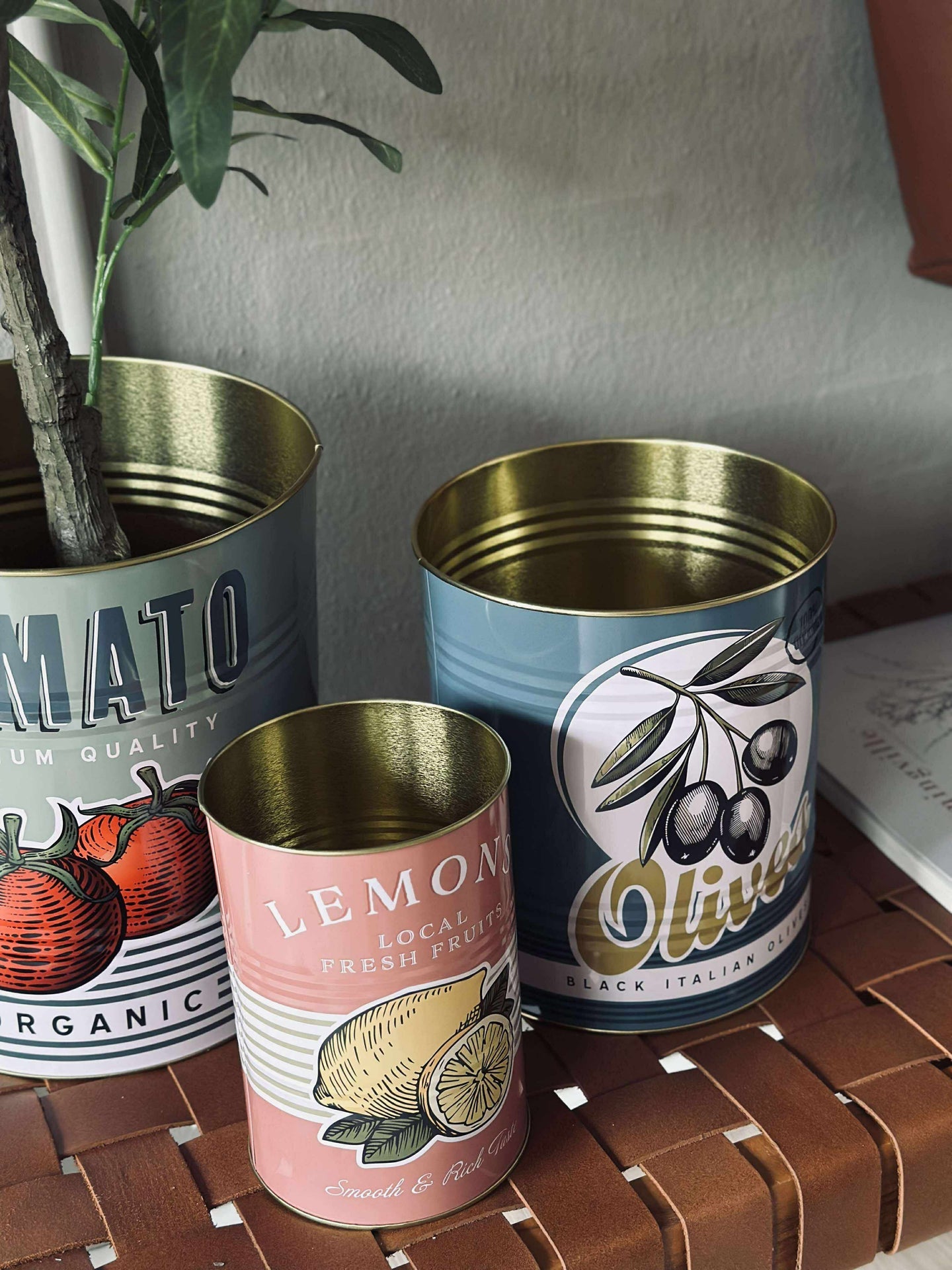Dosen mit italienischem Print - Set mit 3 Stk.